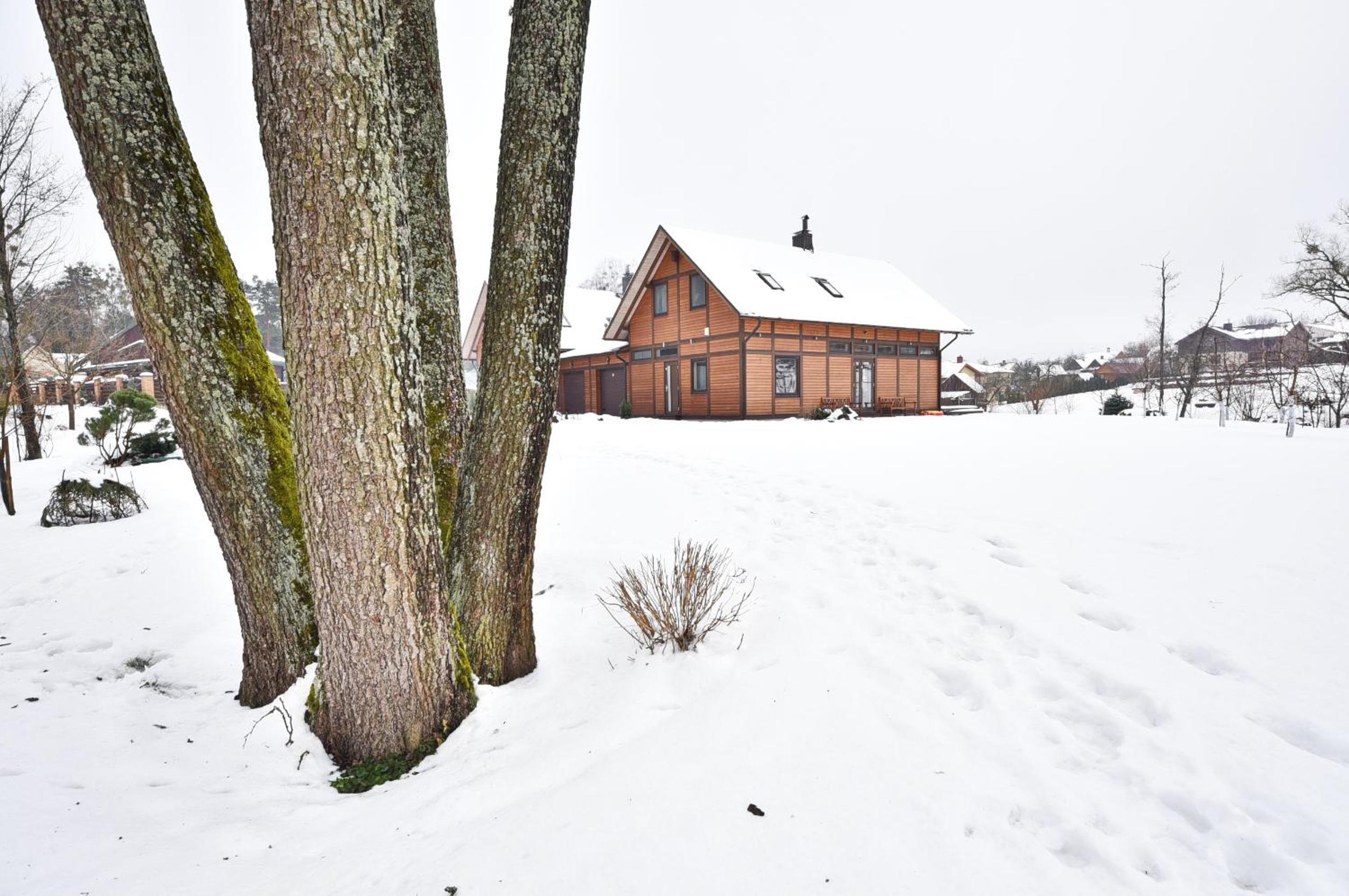 Atostogų namelis Druskininkuose view 3
