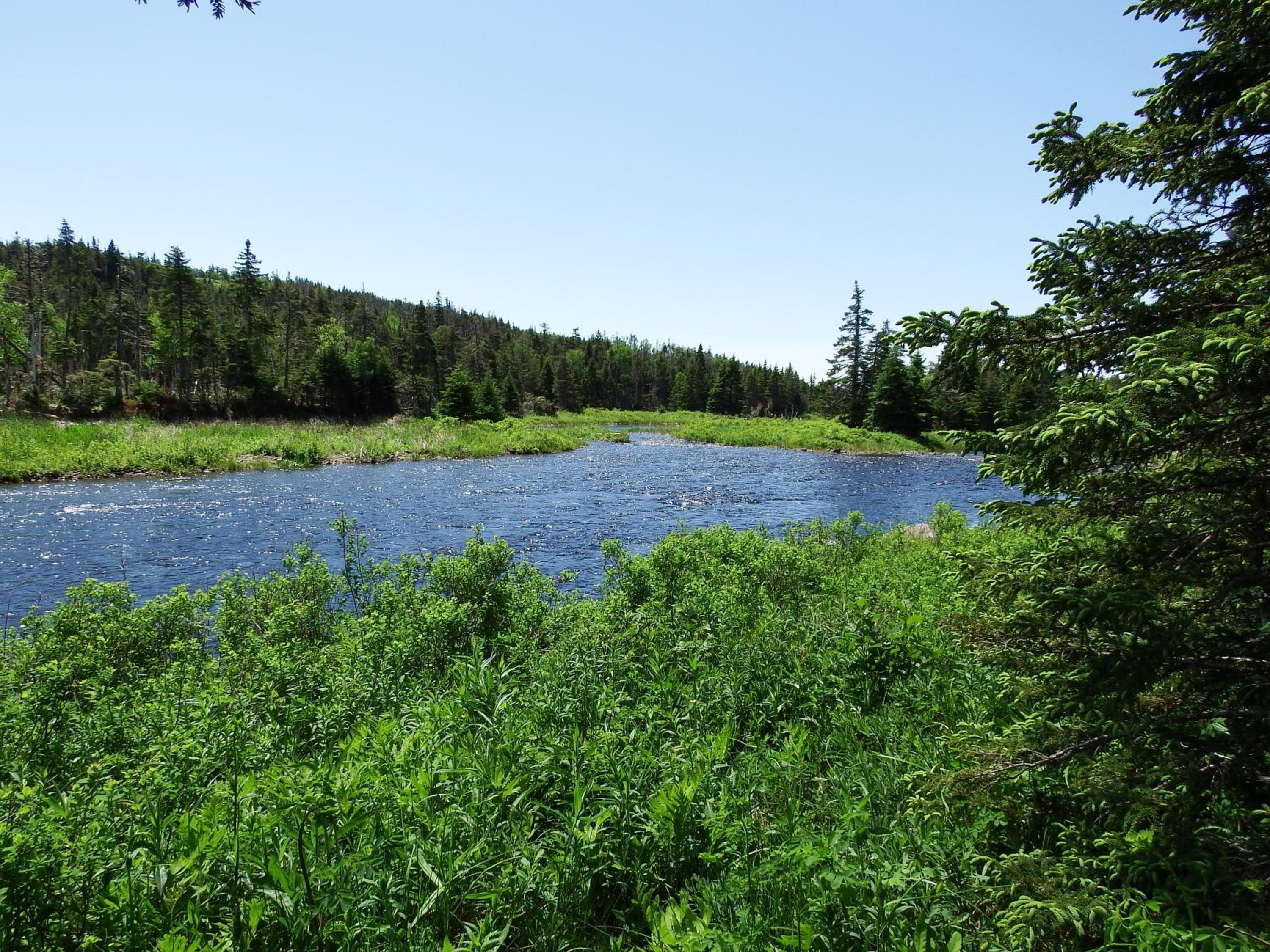 The Wilds at Salmonier River