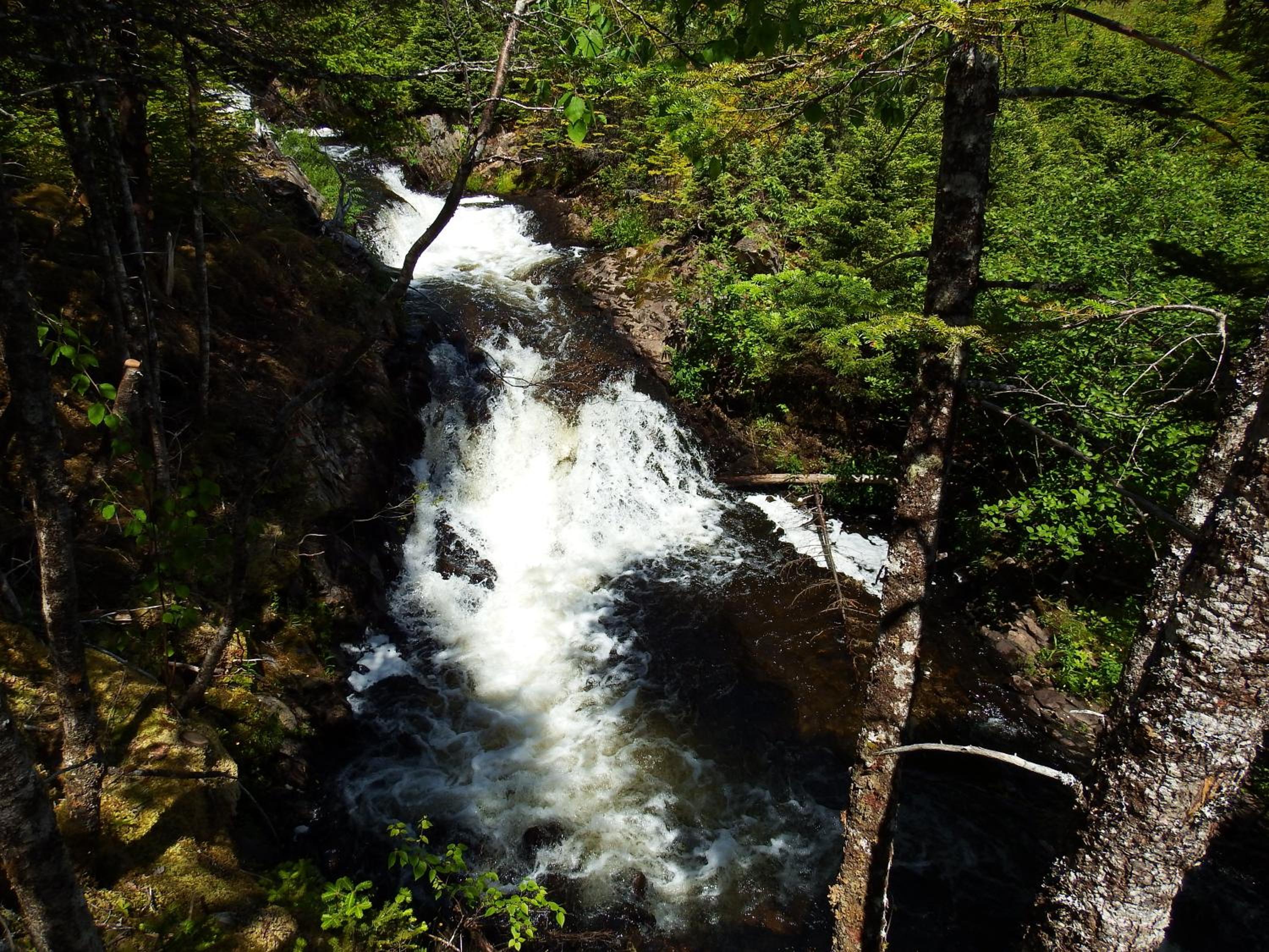 The Wilds at Salmonier River