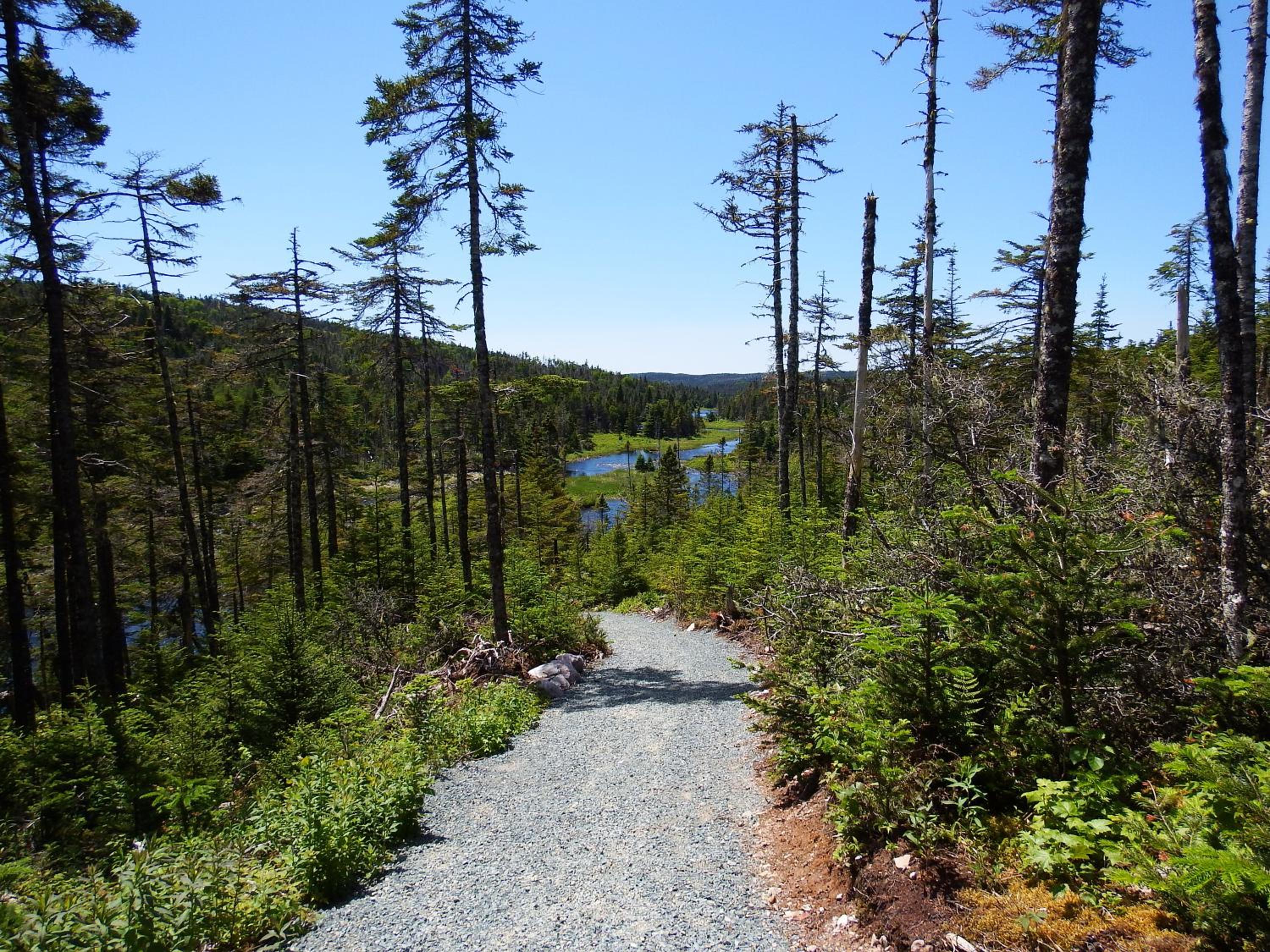 The Wilds at Salmonier River