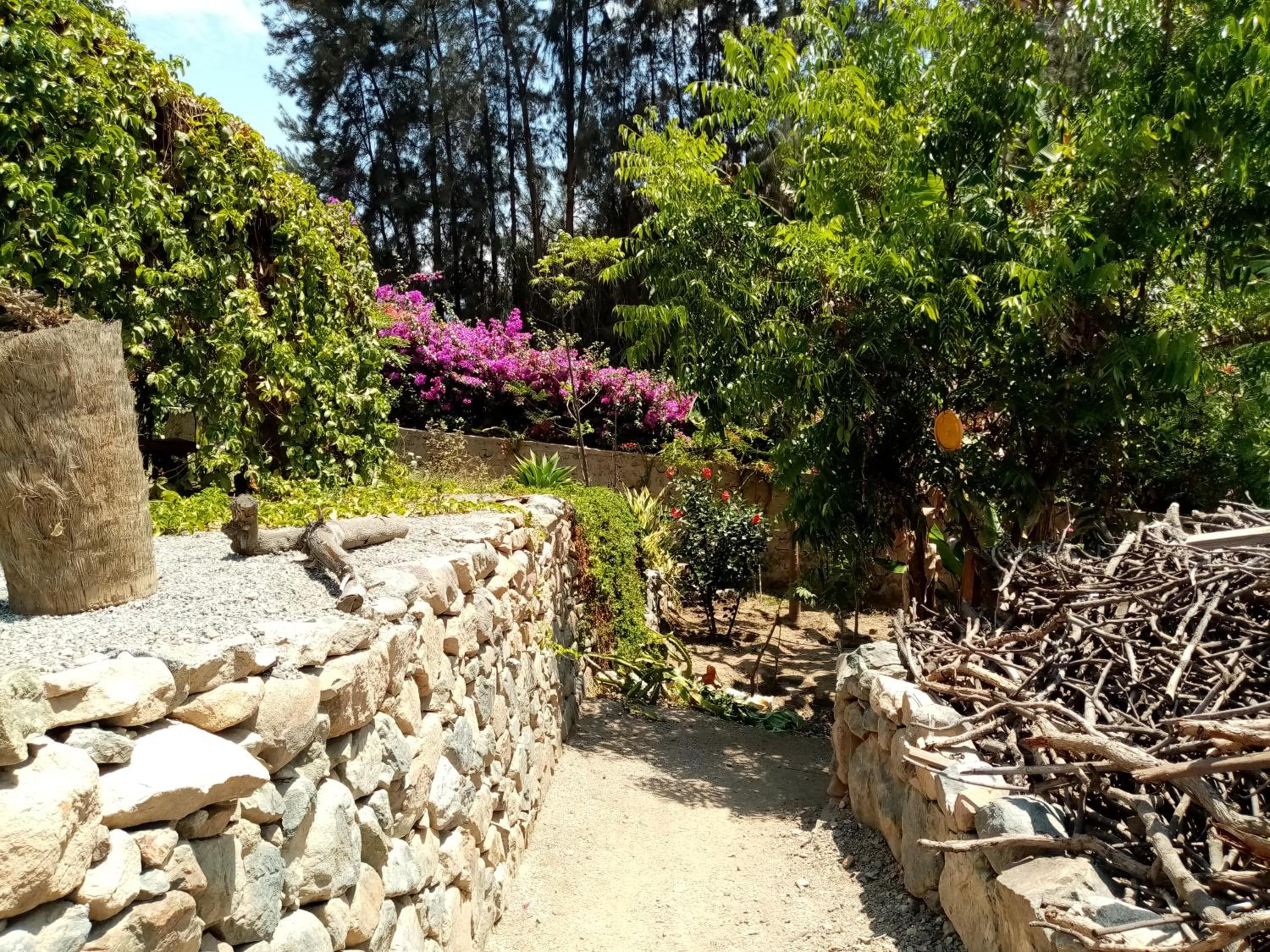 Photo 46