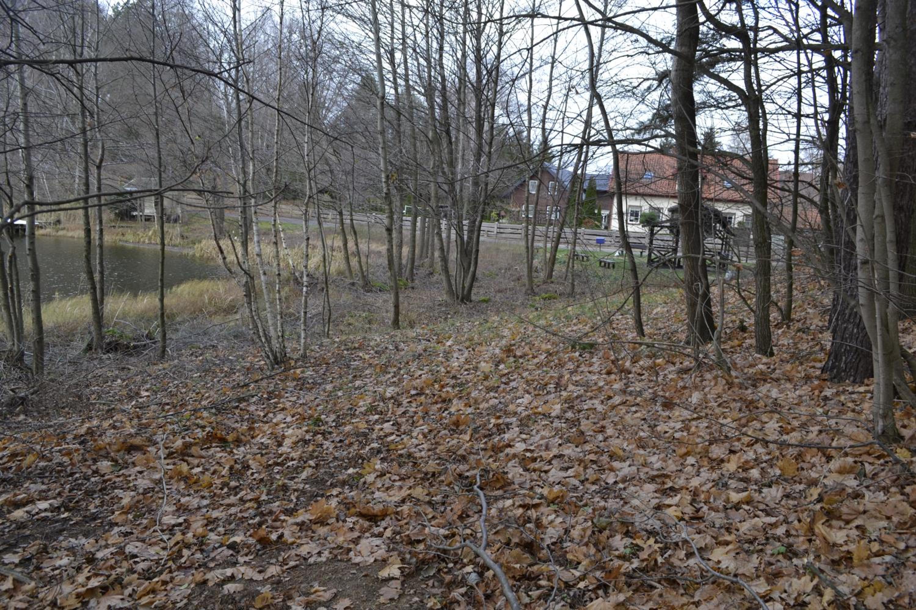 Photo 38