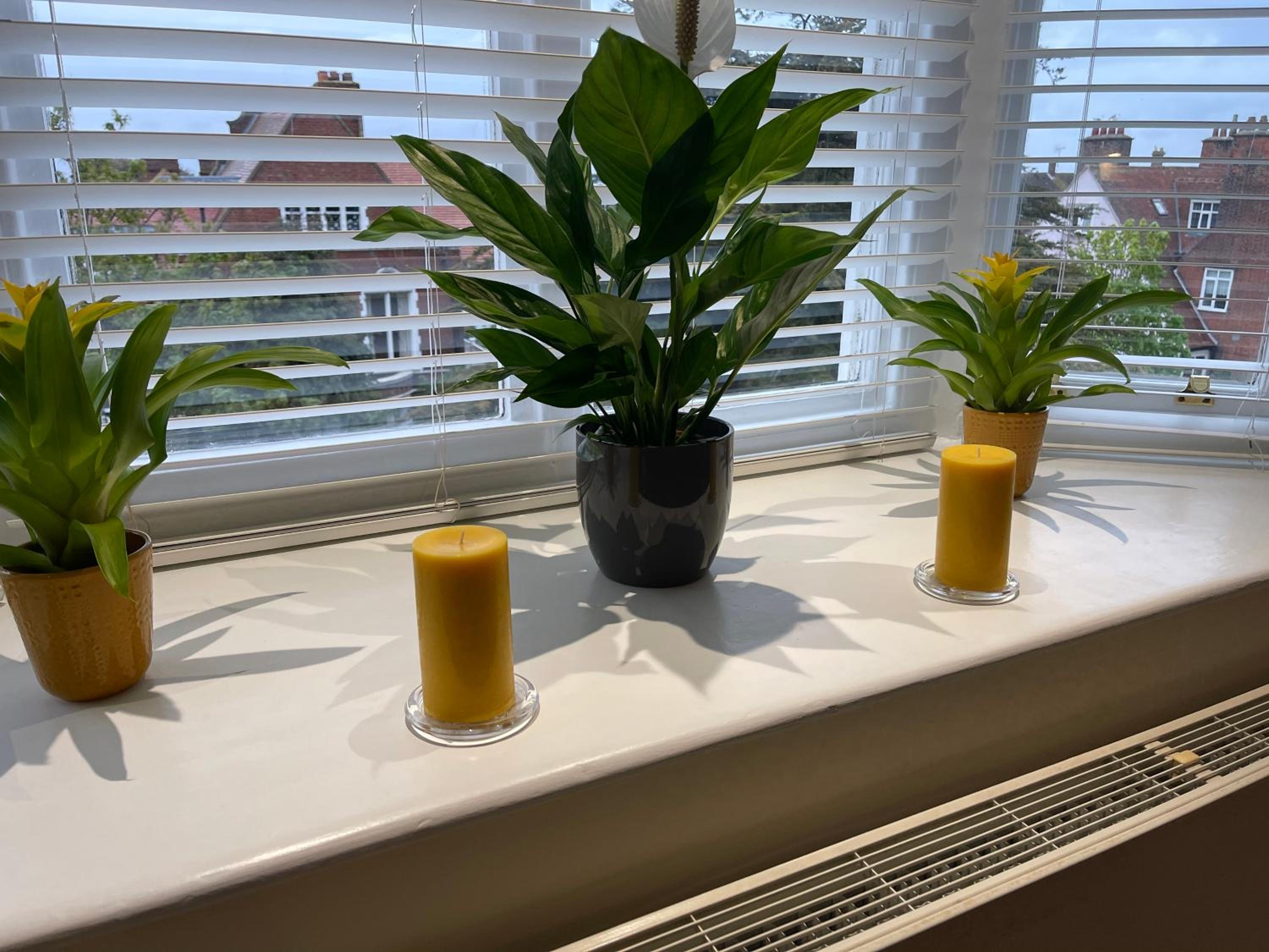 Regal Retreat Modern 2 bed apartment 400m from sea view 4