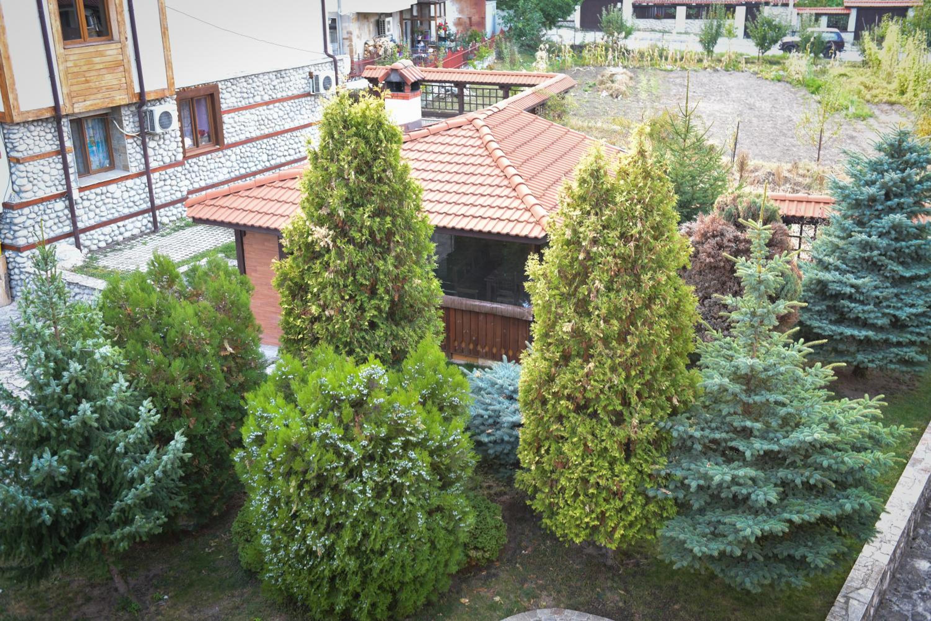 Photo 10