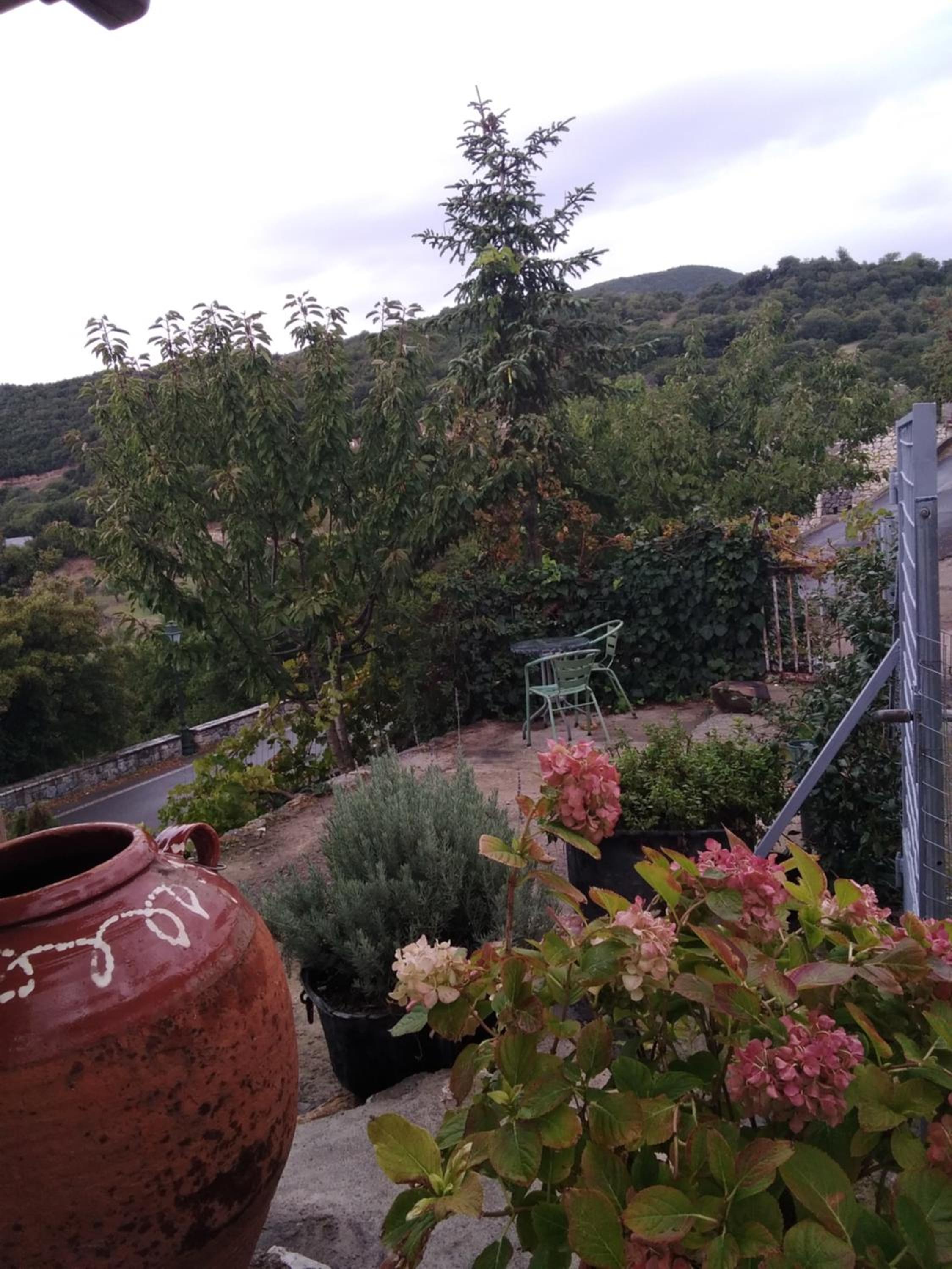 Photo 41