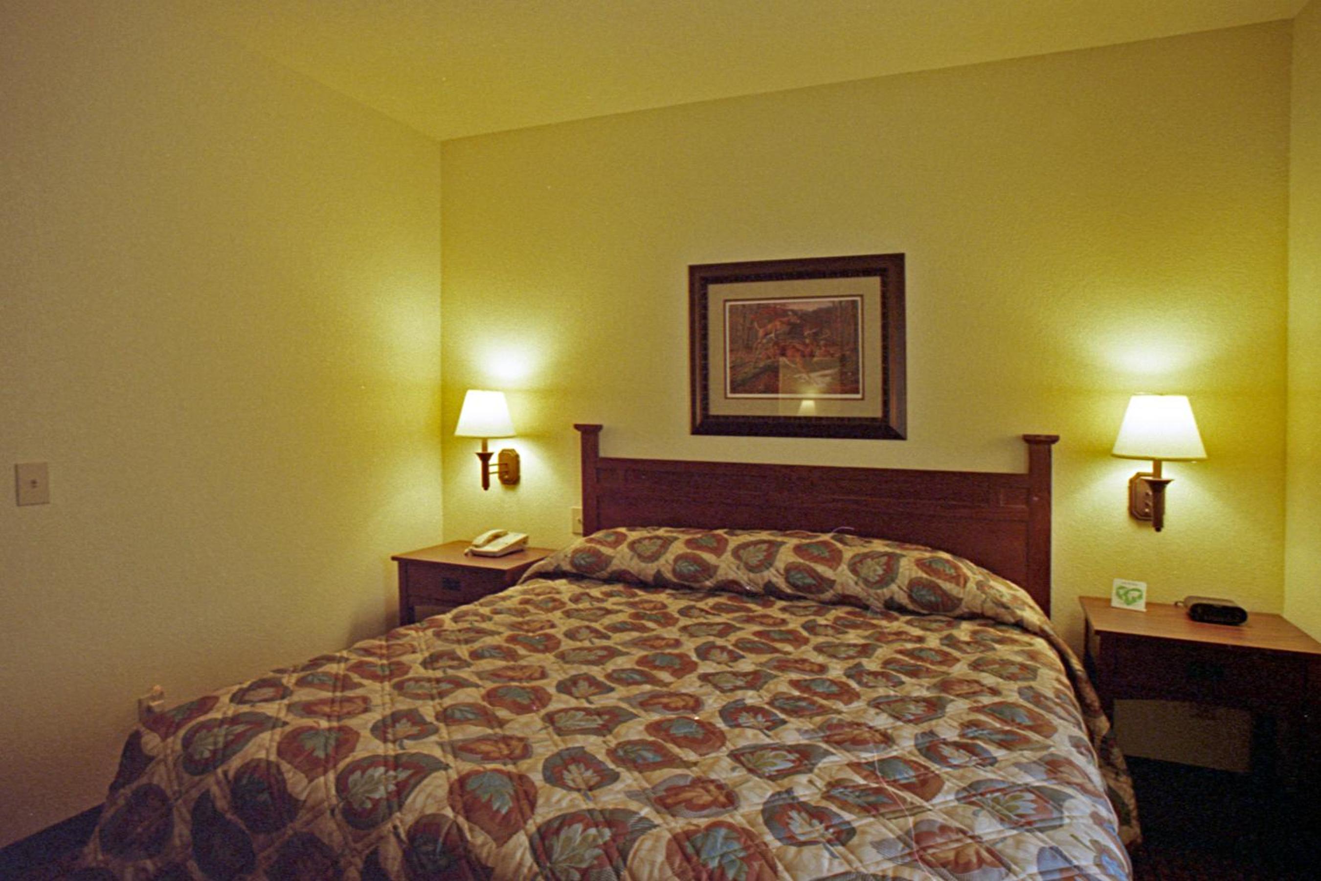 Mountain Inn & Suites Airport - Hendersonville view 5