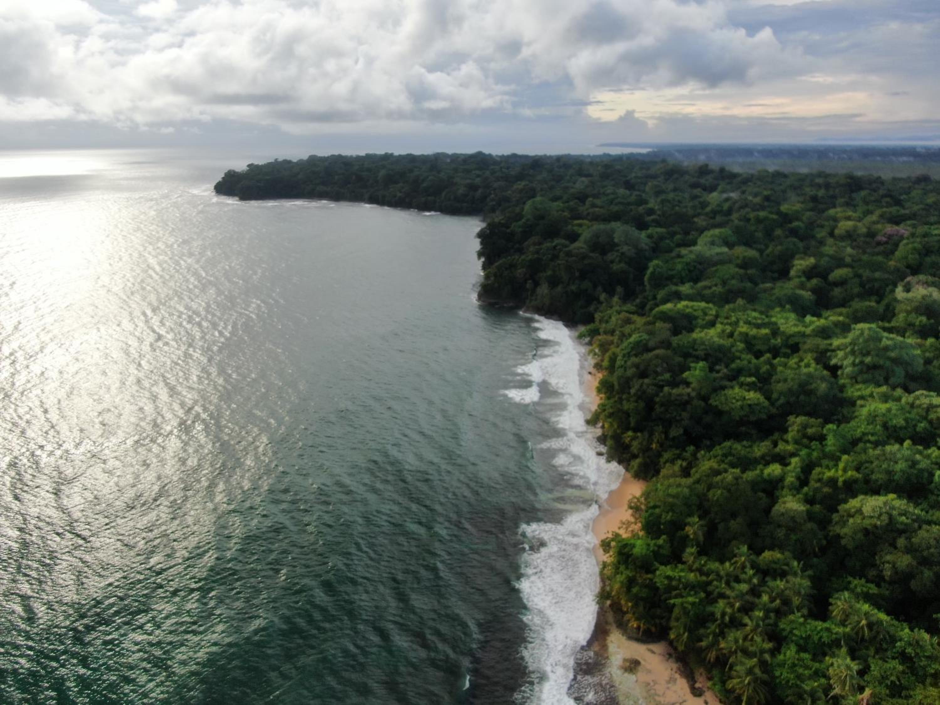 Corcovado Adventures