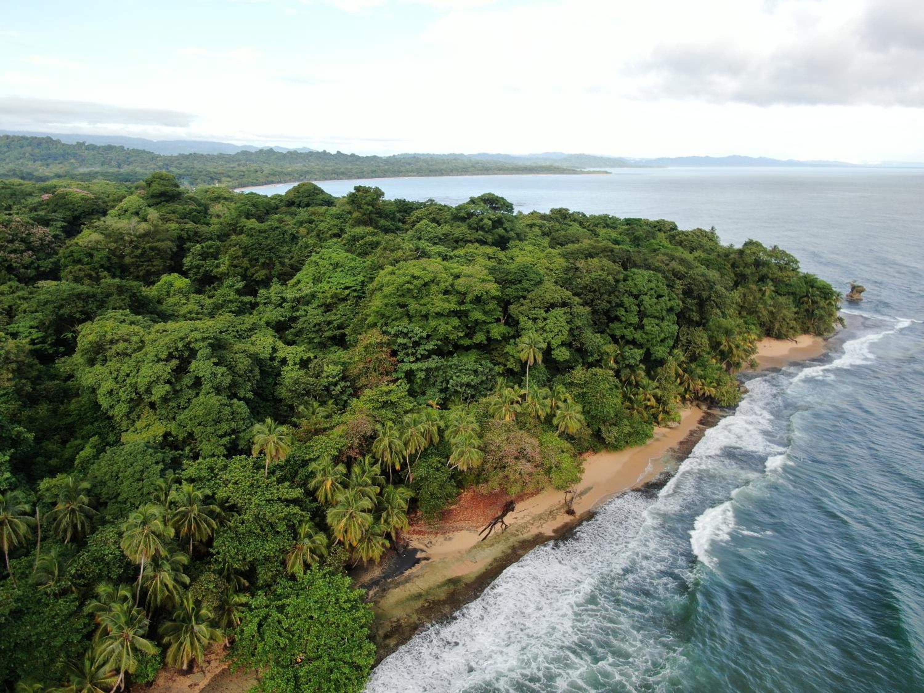 Corcovado Adventures