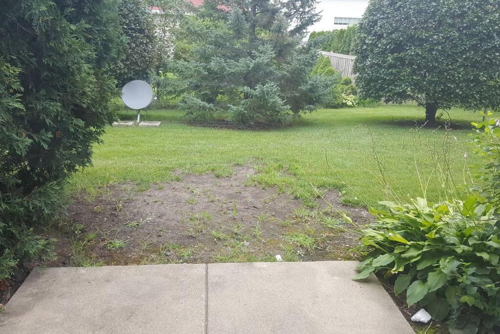 Waukegan Vacations - Family Home - 2 bedroom, kitchen, 1.5 bath - Property Image 3