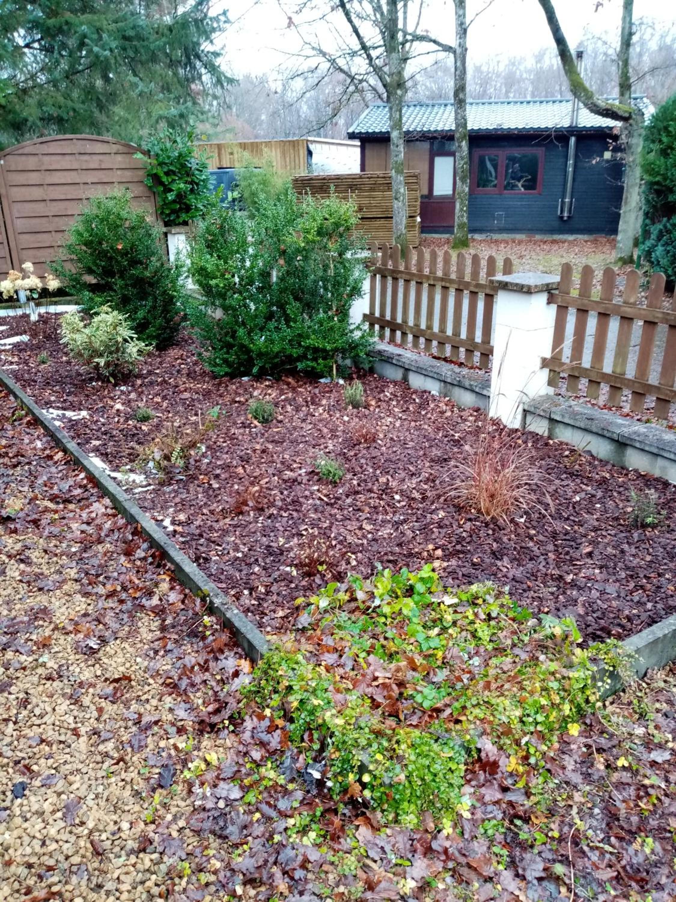 Photo 11