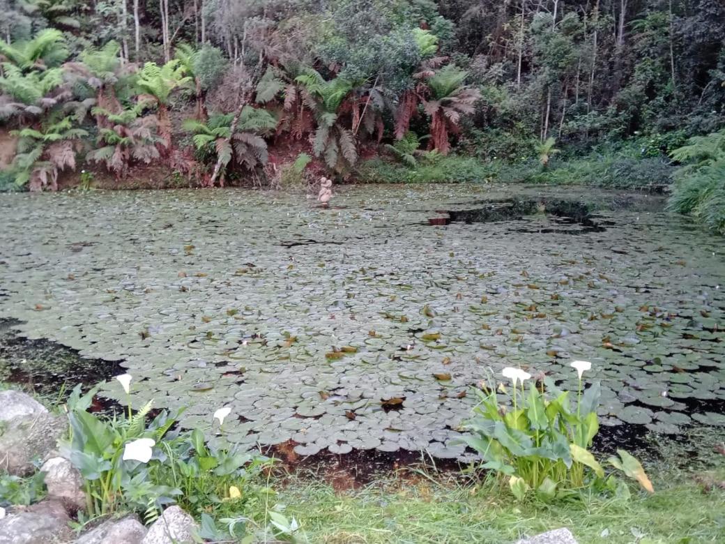 Aconchegante Mansão Estilo Suíça em Campos do Jordão
