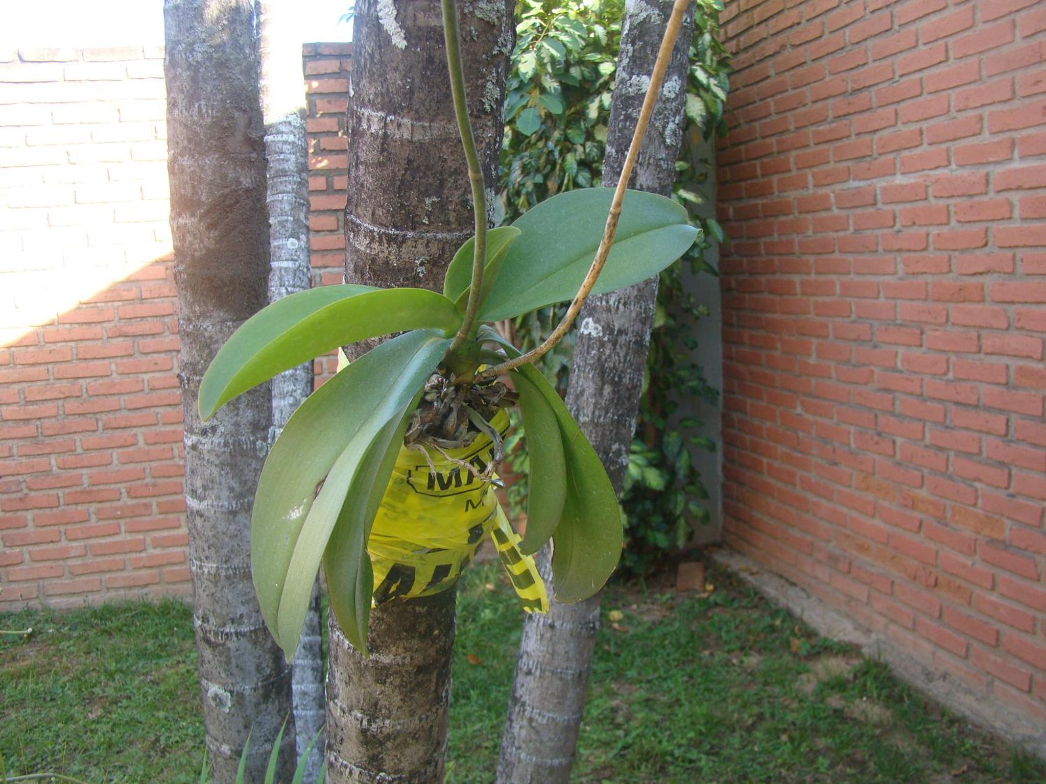 Photo 39