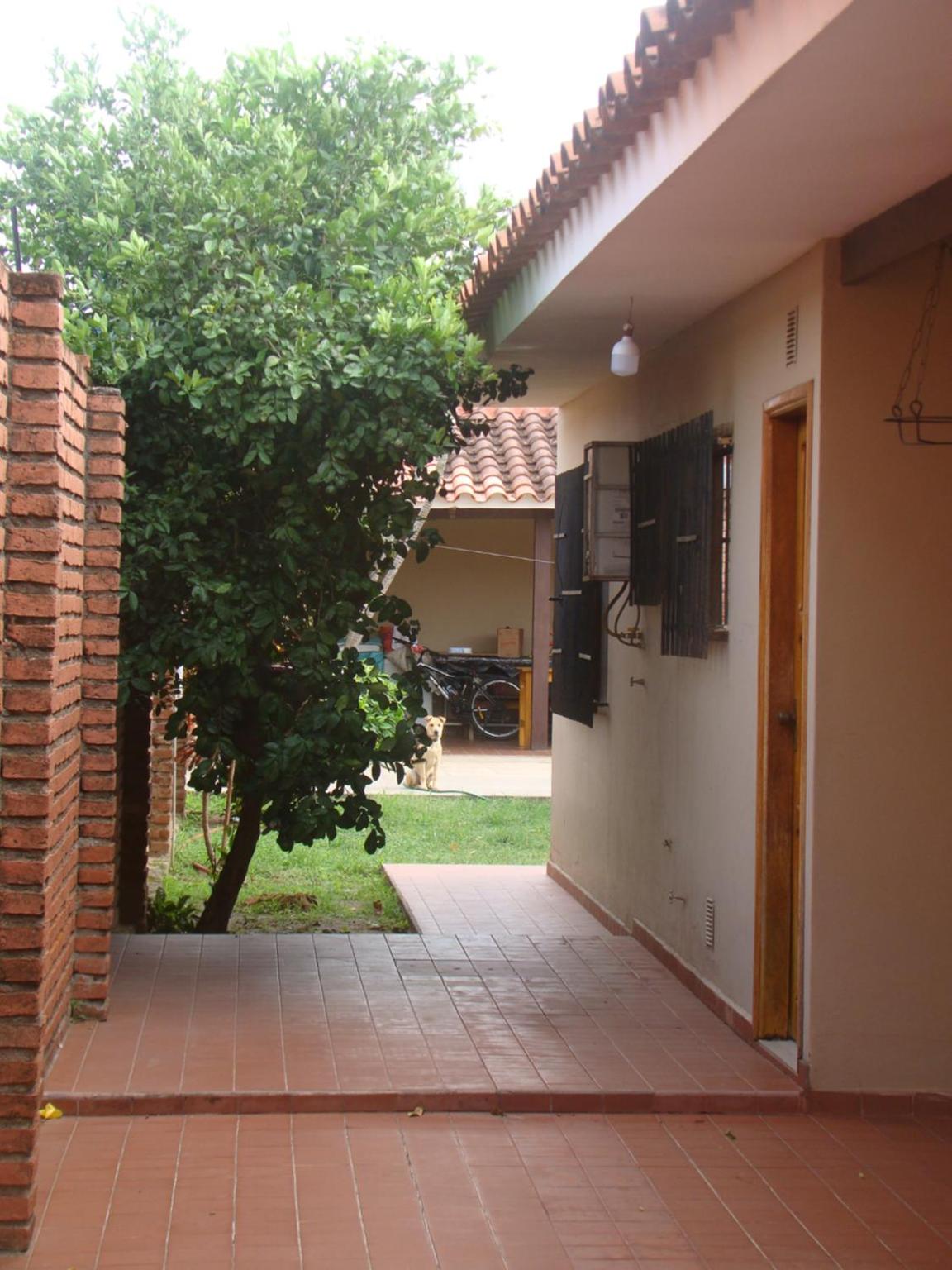 Photo 37