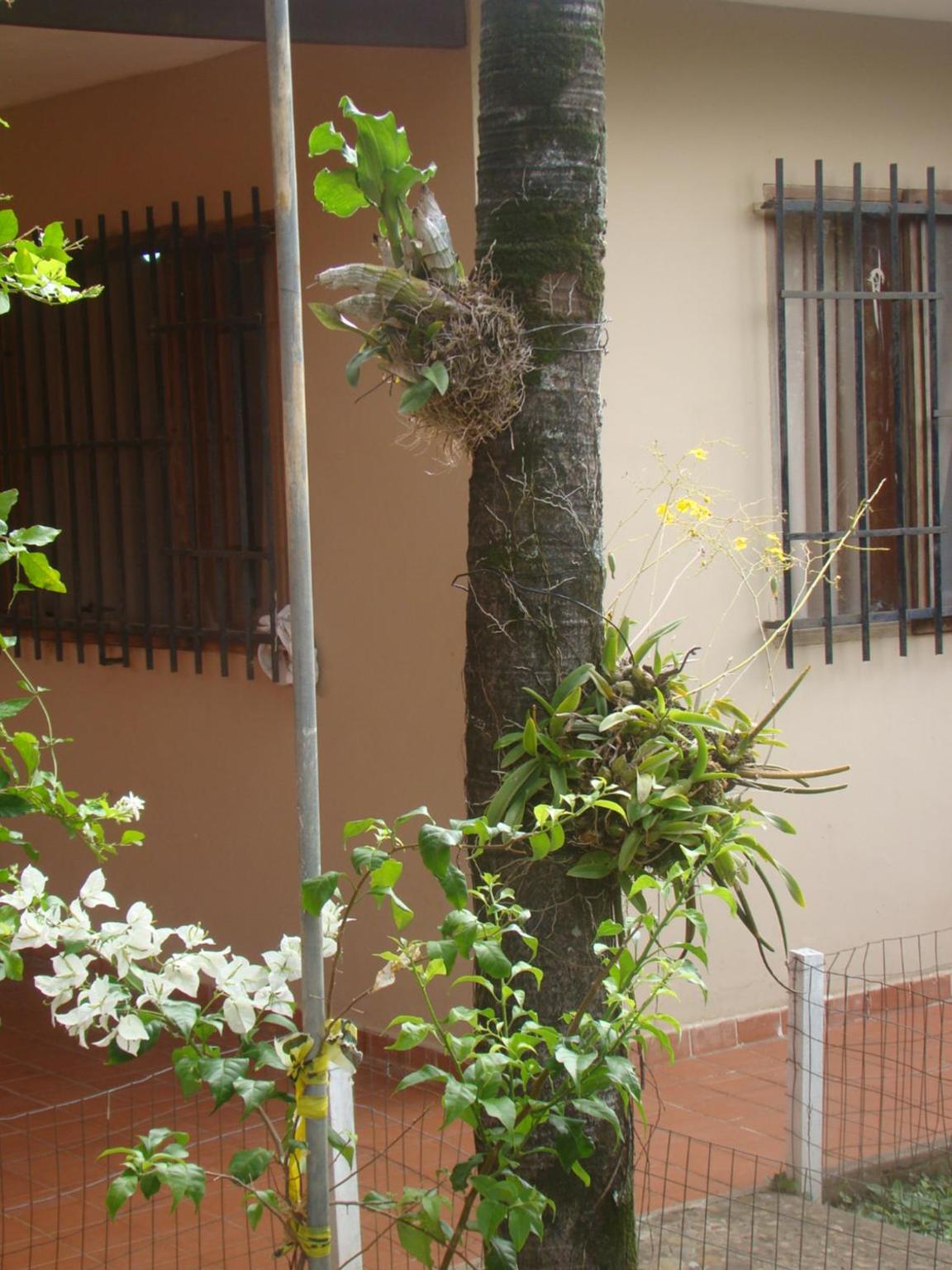 Photo 40