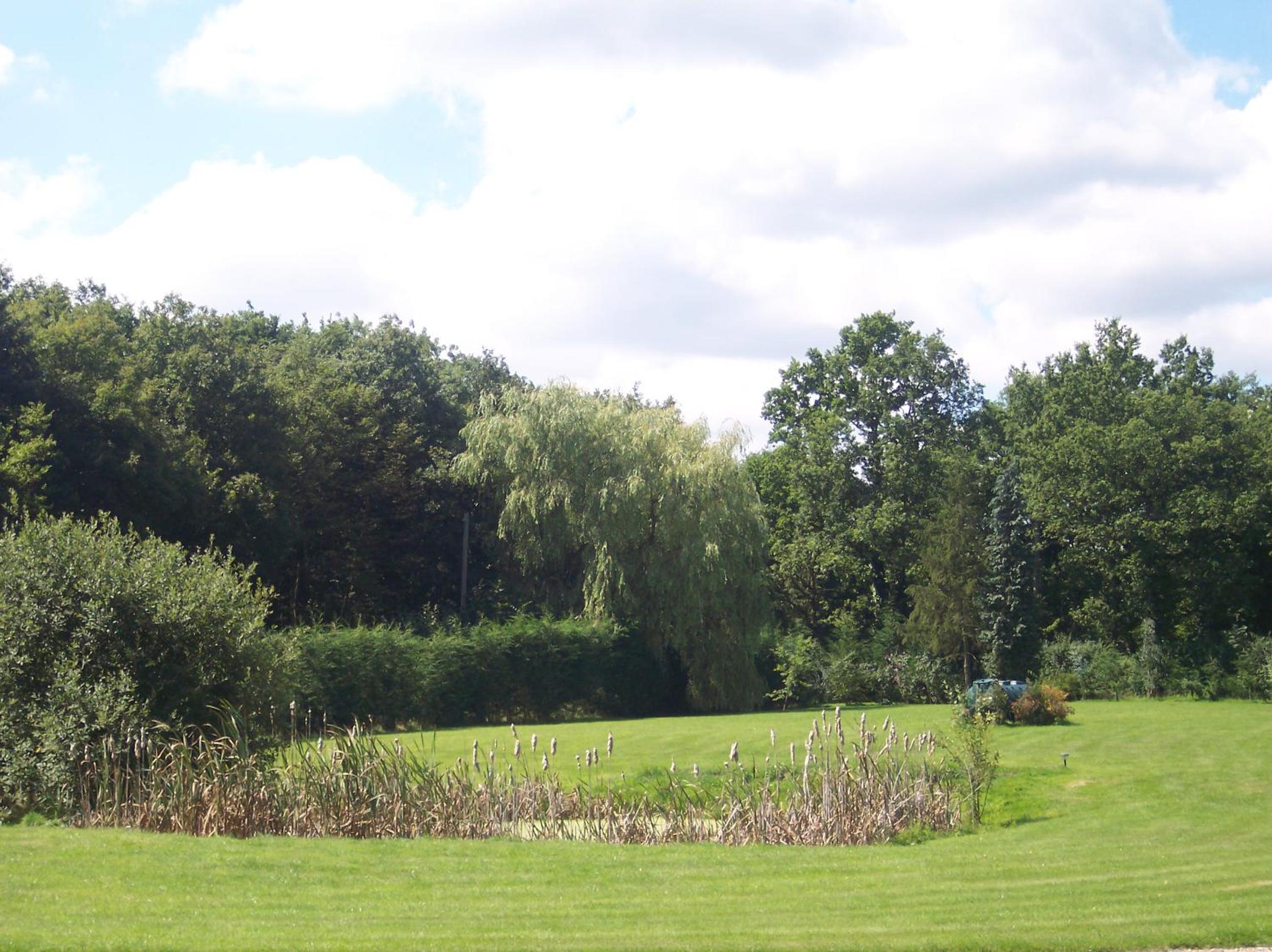 Farmhouse: Beautiful rural location. London from 60 minutes. view 4
