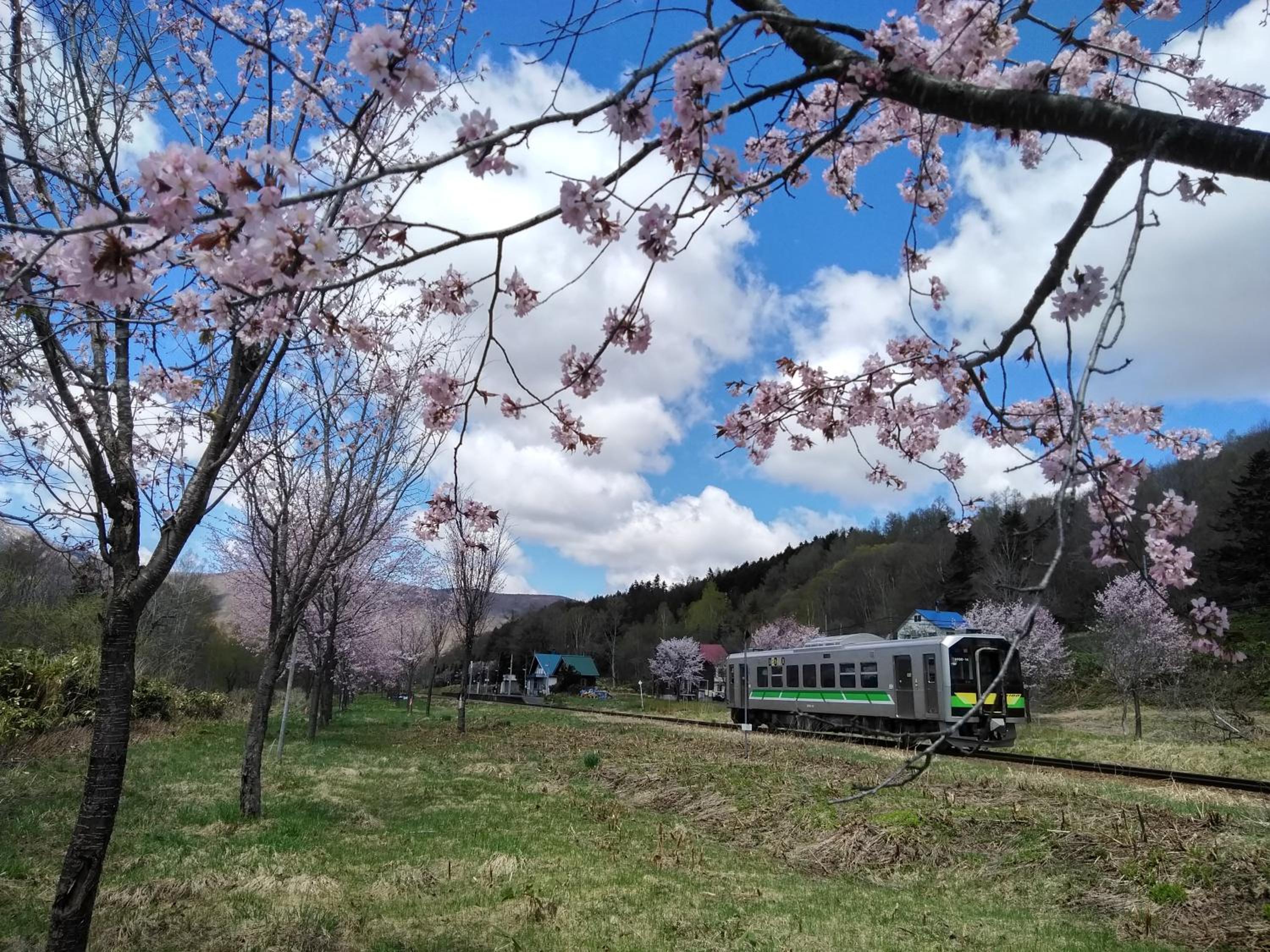 Hirafu Station Guesthouse - Ekinoyado Hirafu