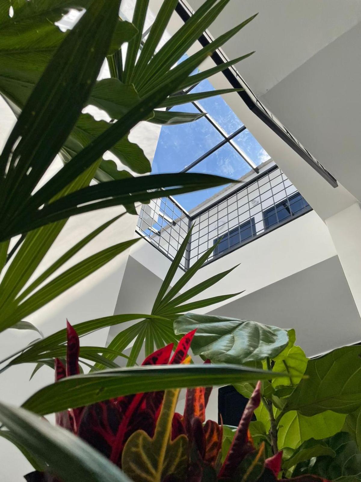 80Cooliving Medellín