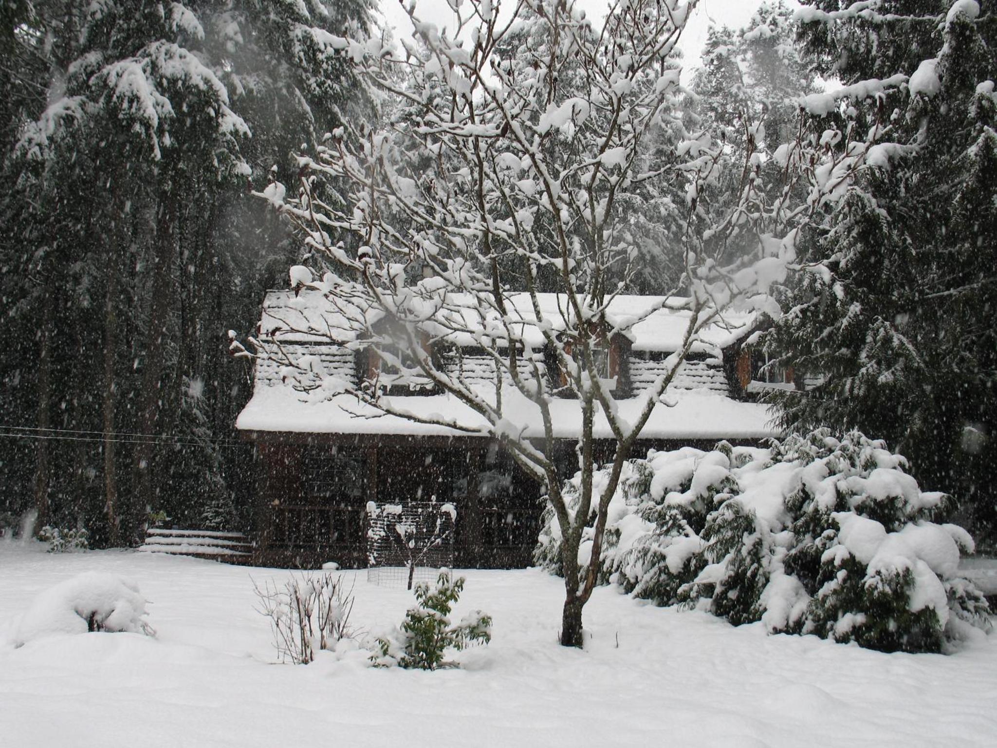 Cedar Song B&B