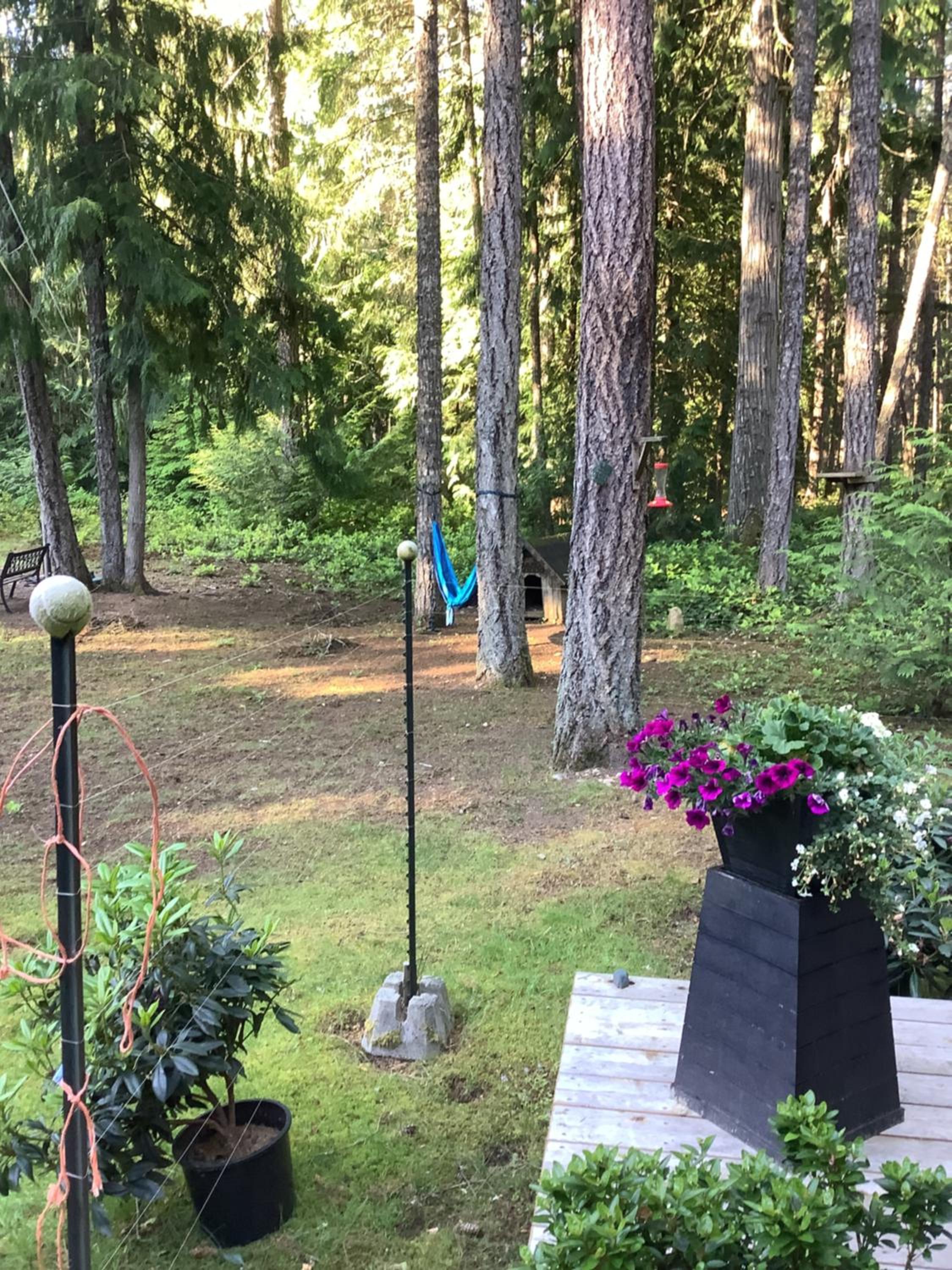 Cedar Song B&B