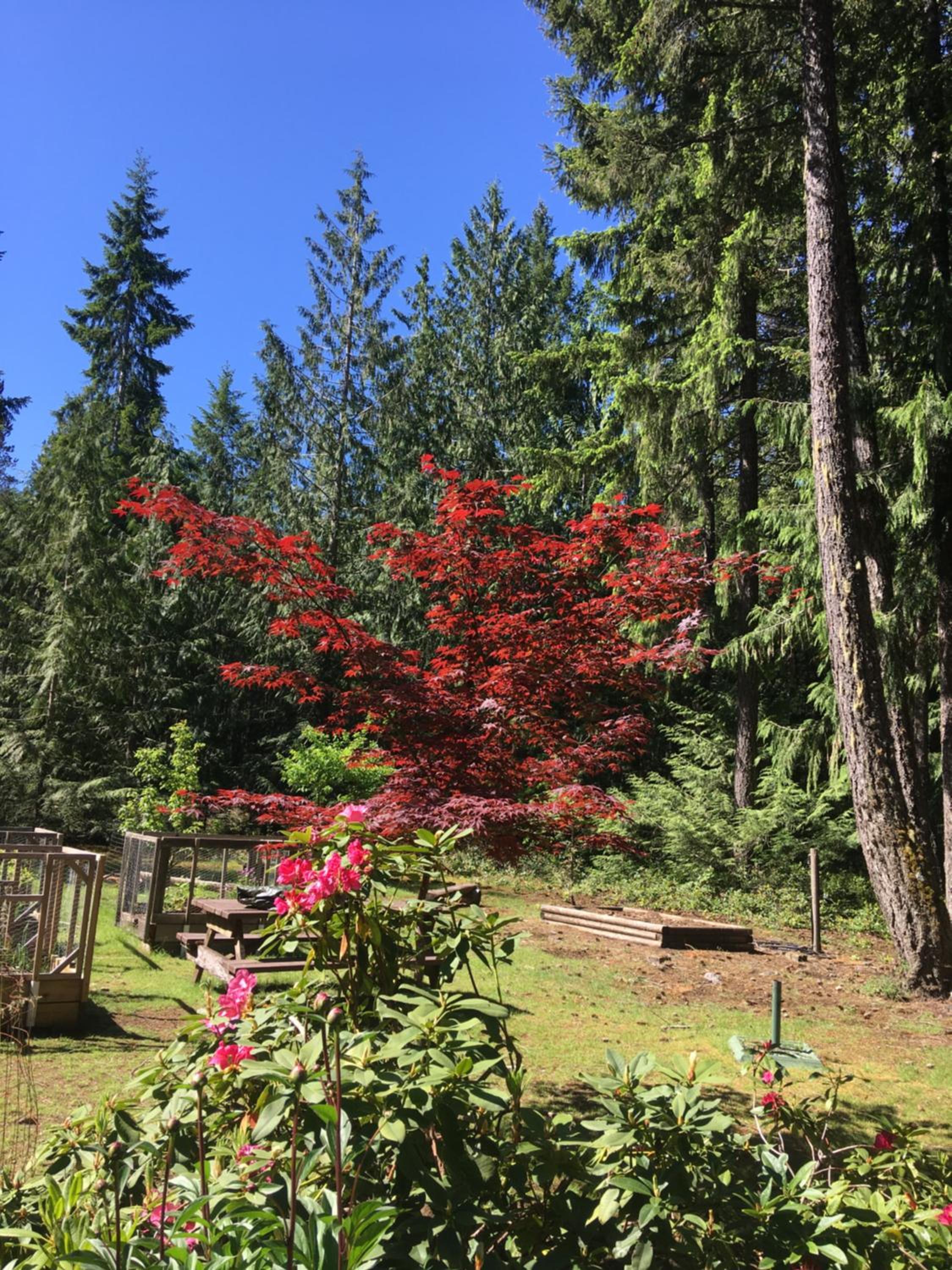 Cedar Song B&B