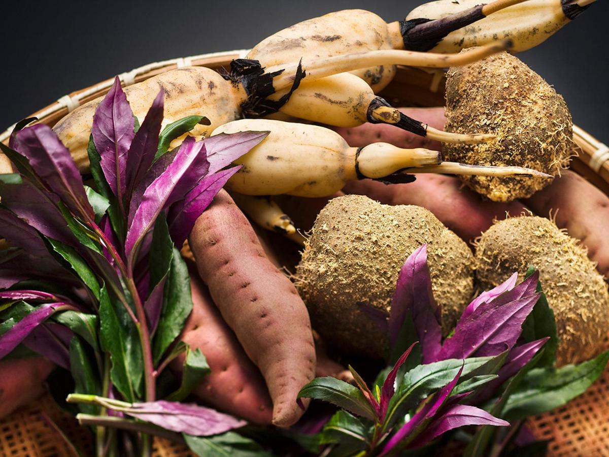 Motoyu Ishiya
