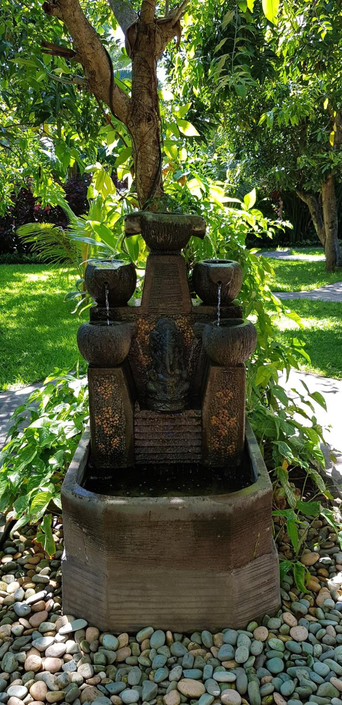 Mango Tree Inn