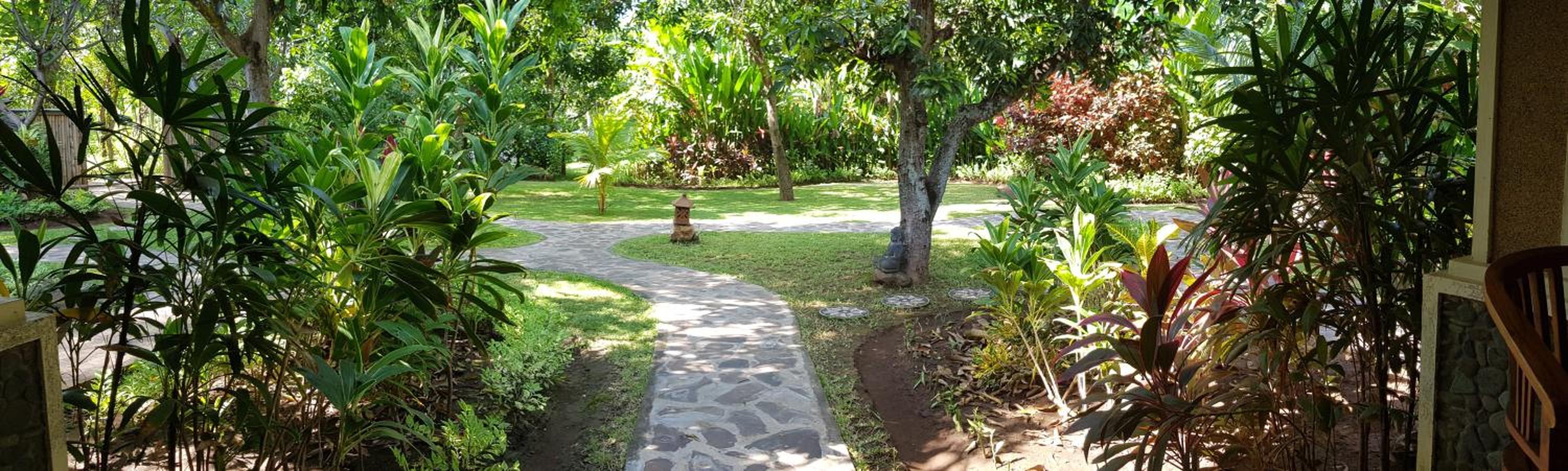 Mango Tree Inn