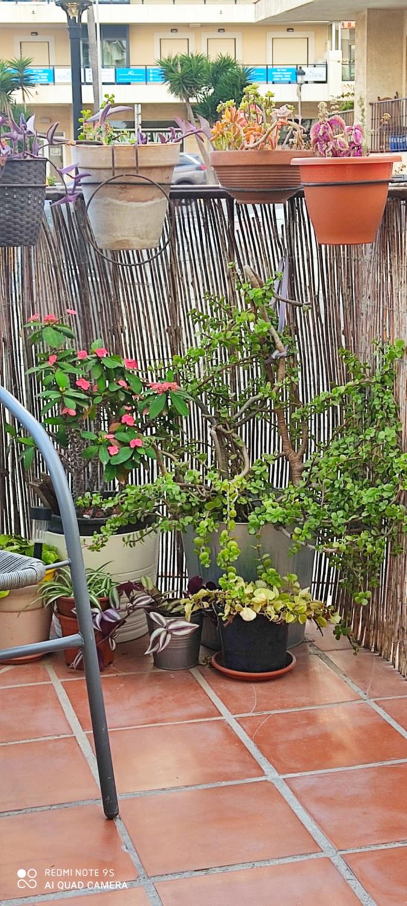 Apartamento Turístico FlorHouse