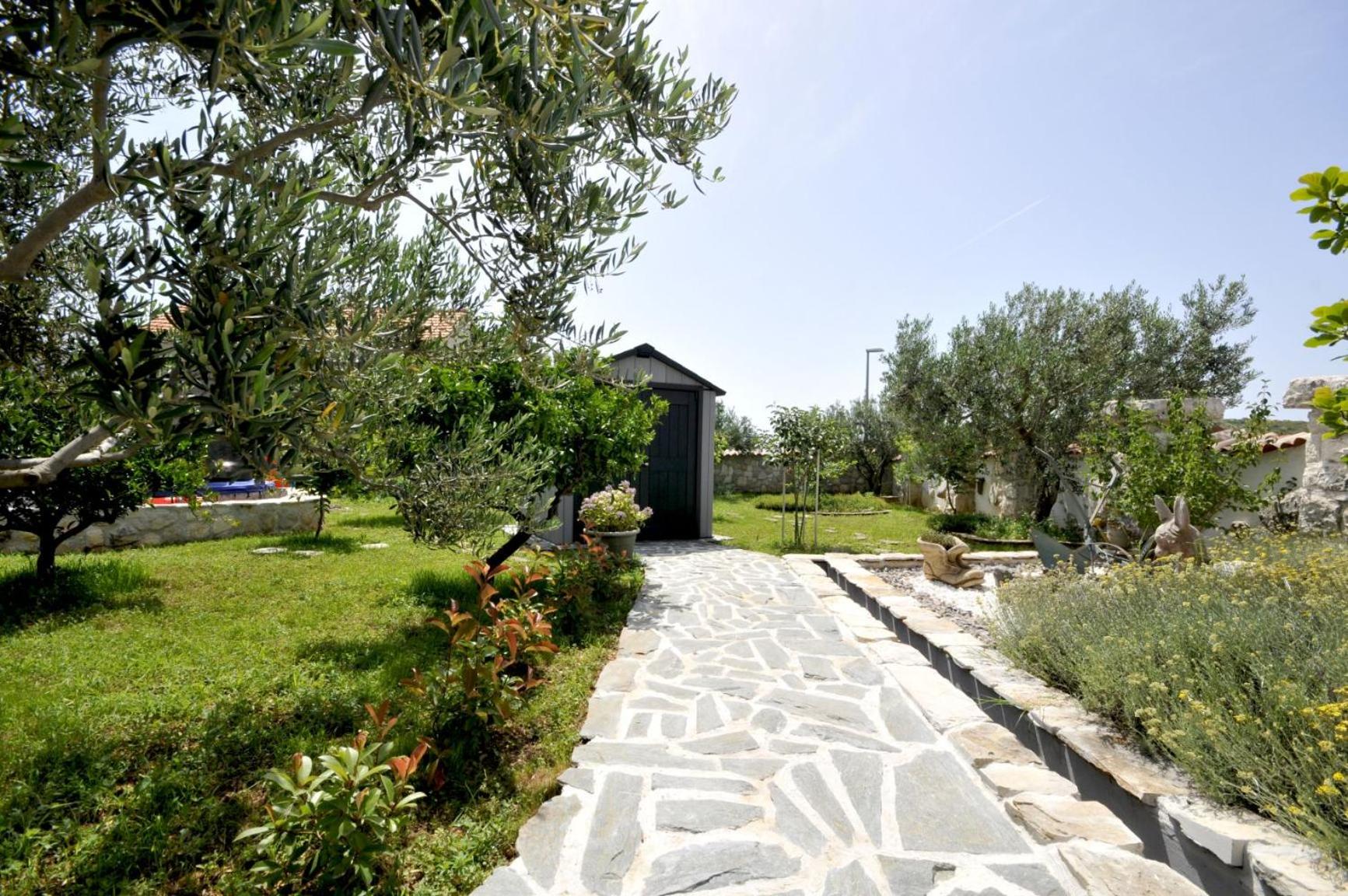 Photo 7