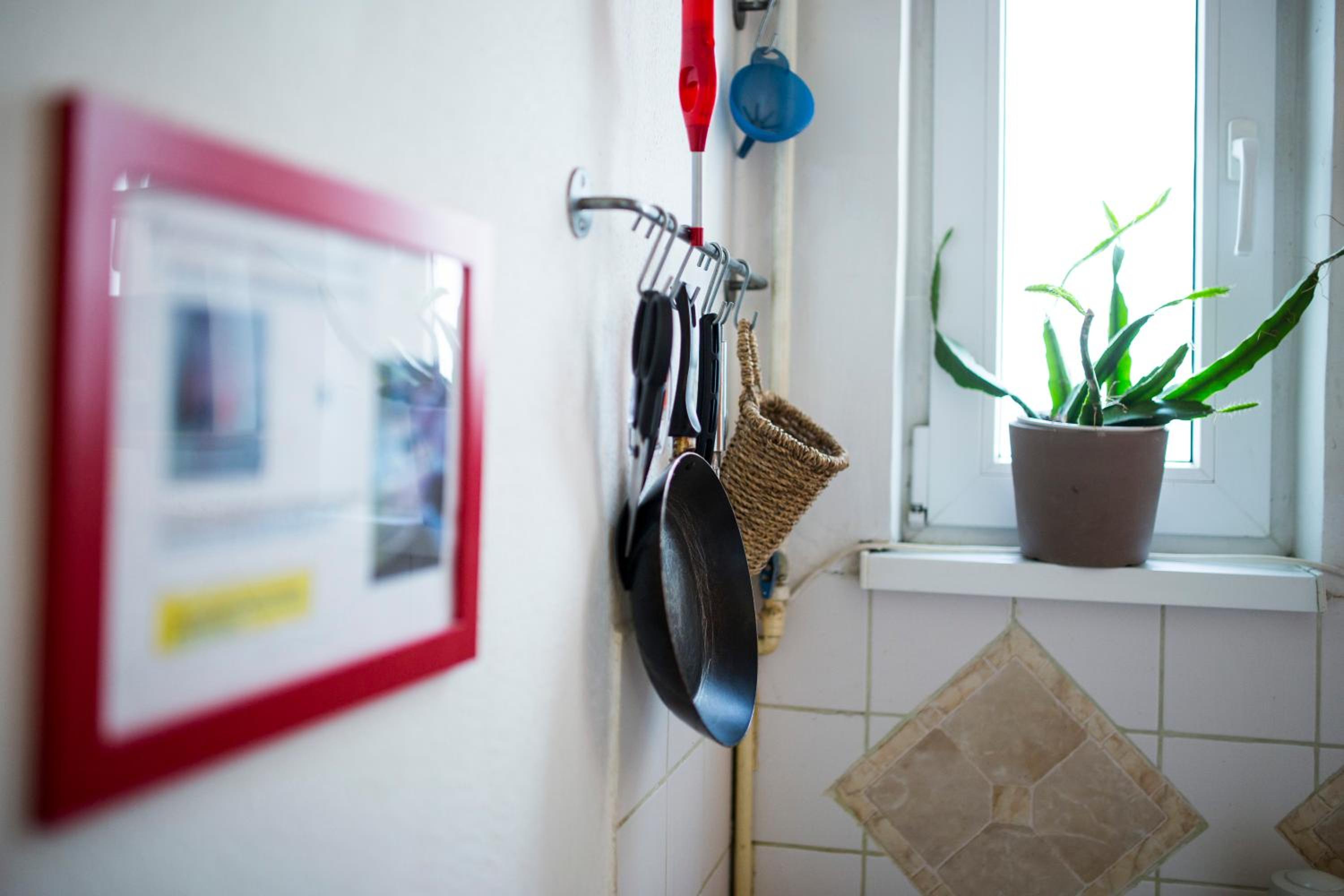 Sipi Apartman