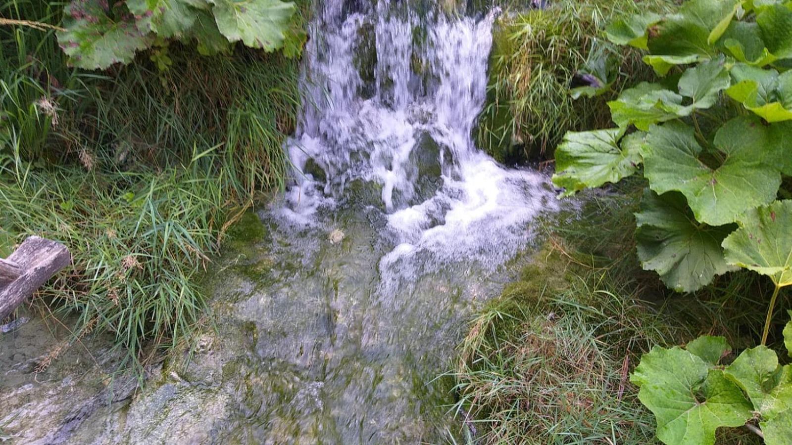 Photo 37