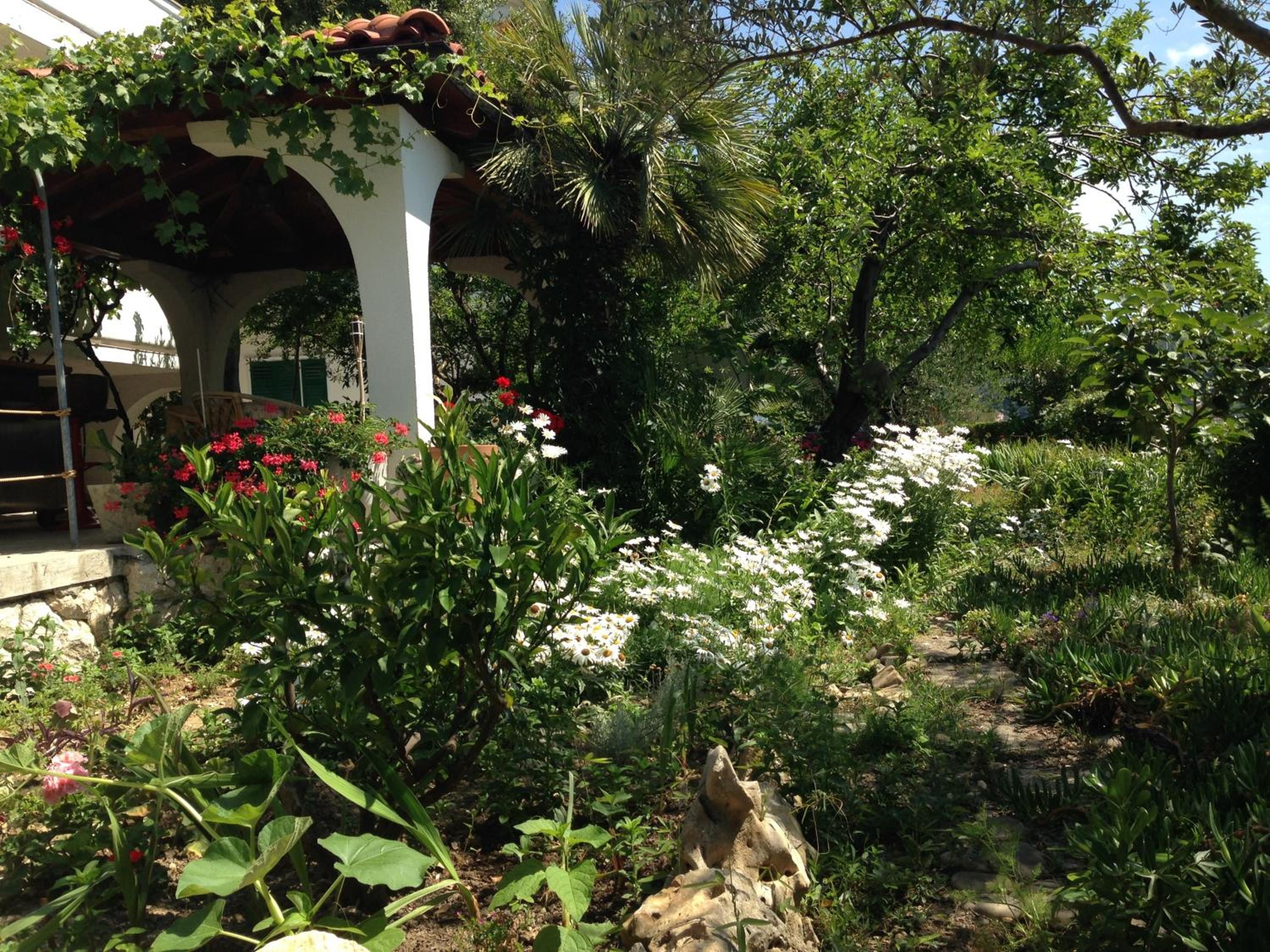Photo 35