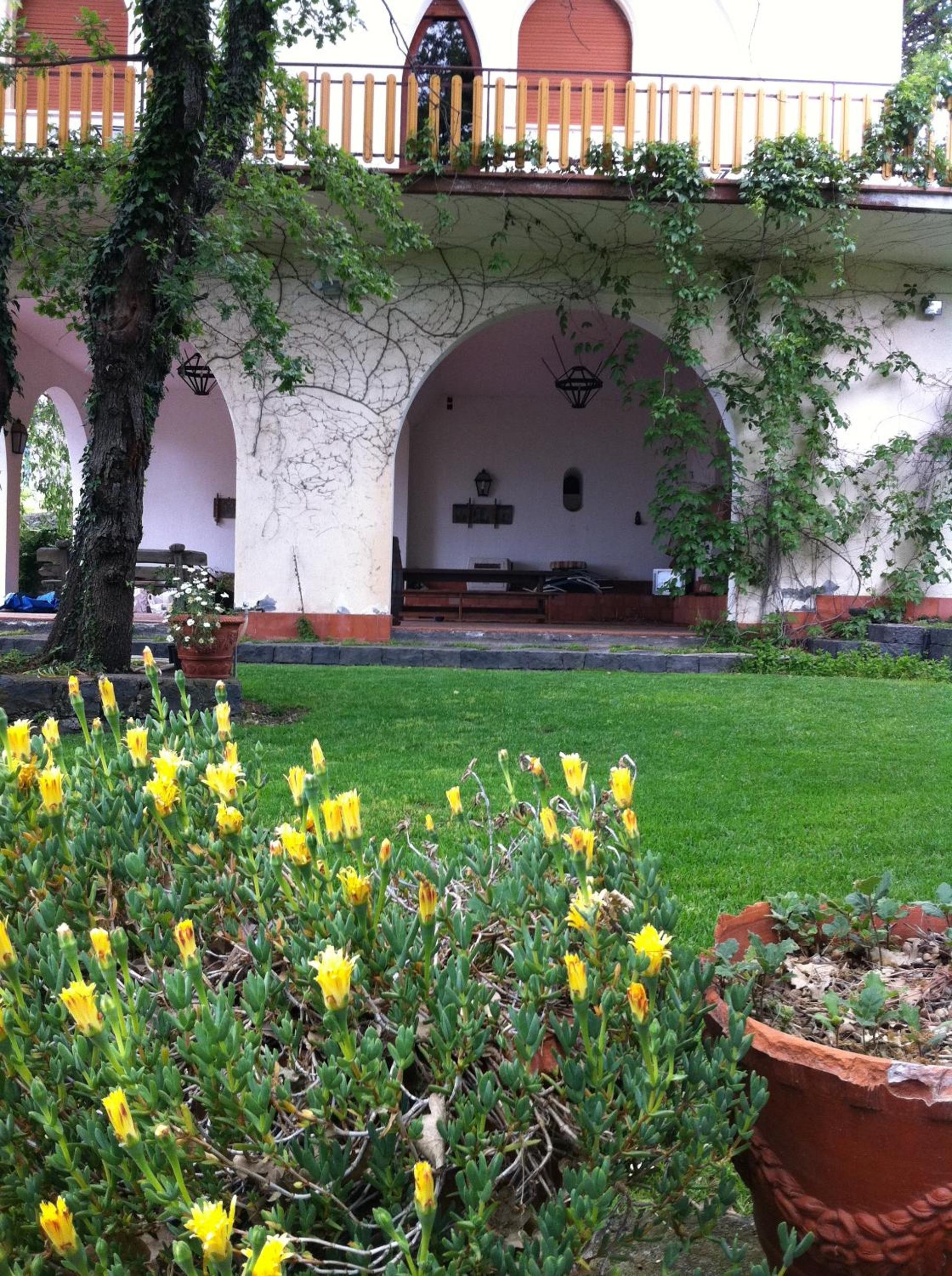 Domus Verdiana