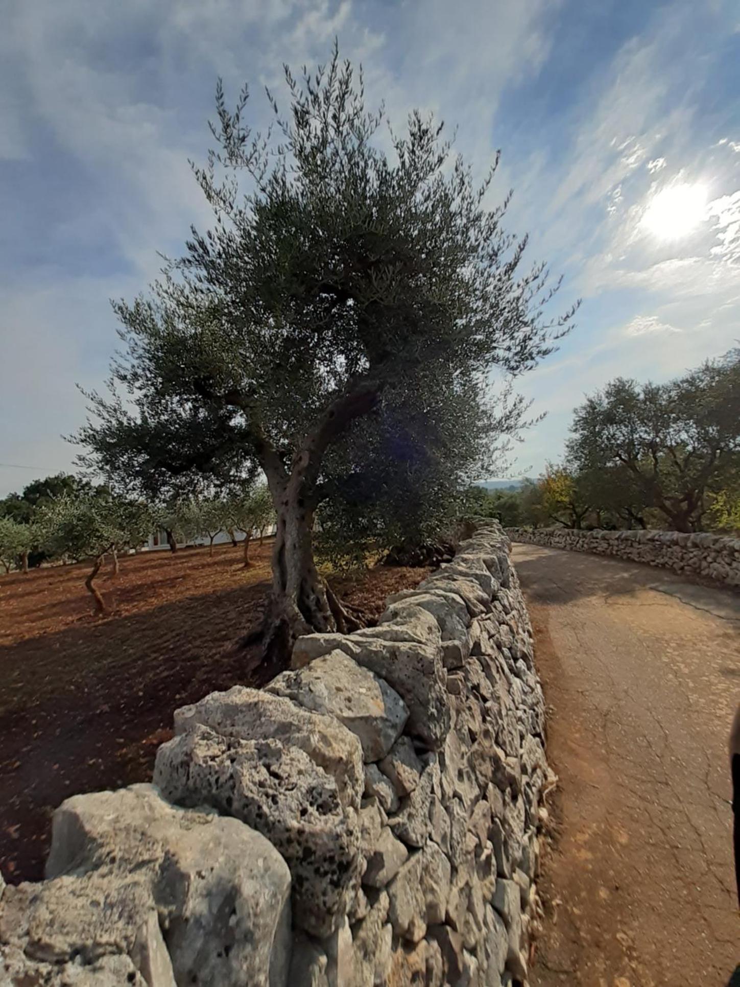 Casa Vacanze Valle d'Itria