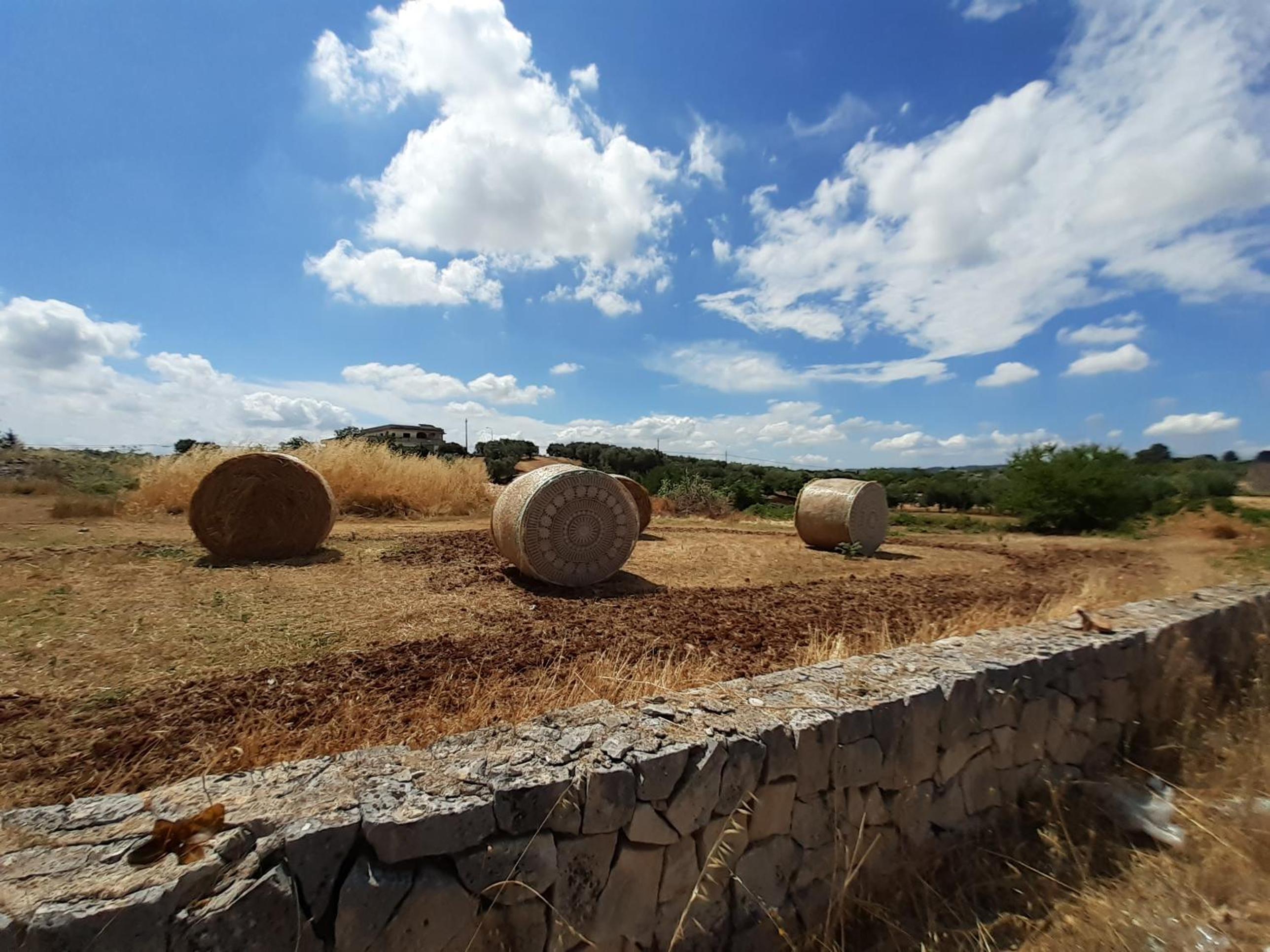 Casa Vacanze Valle d'Itria