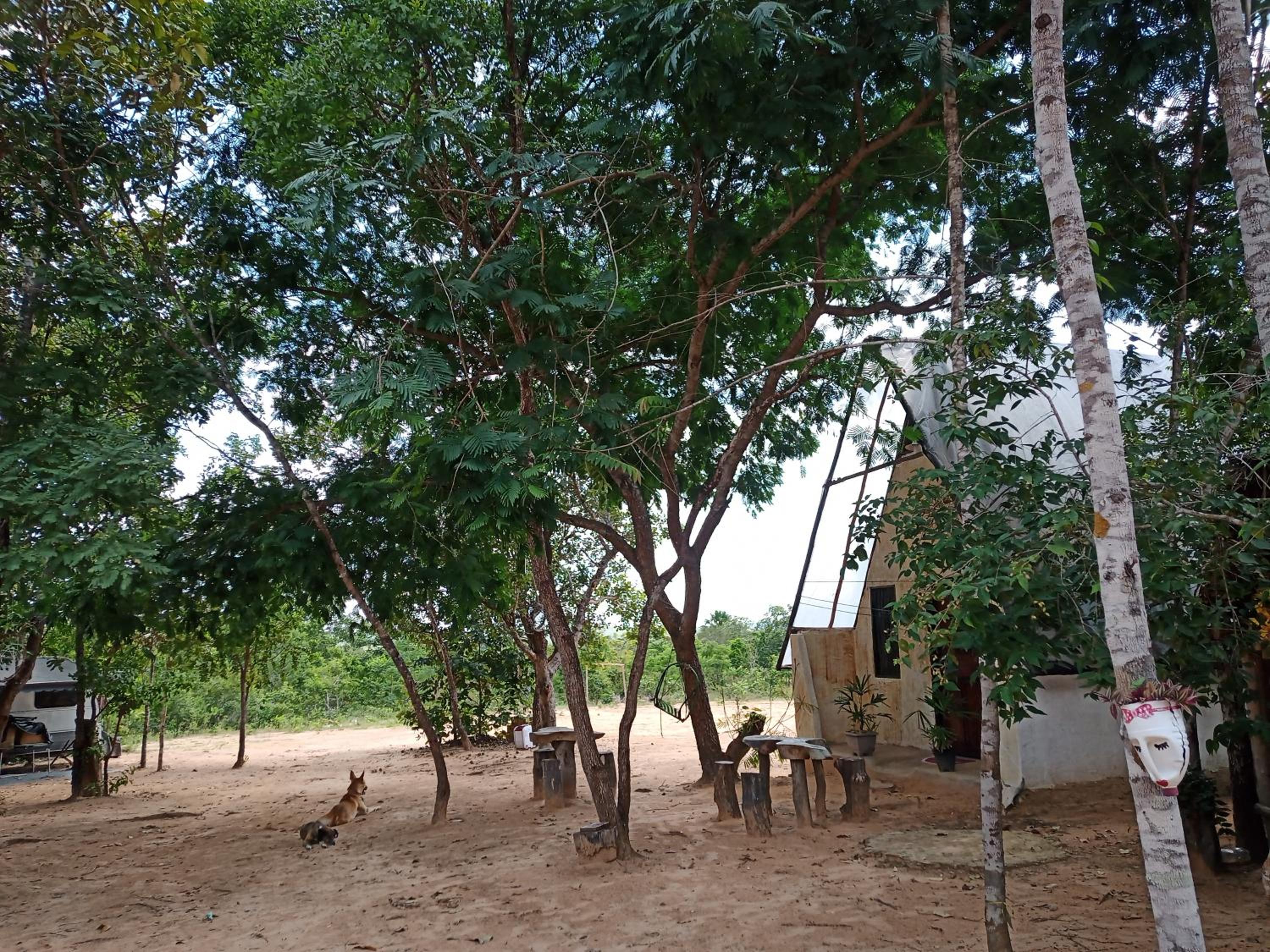 Refúgio Raiz Camping view 4