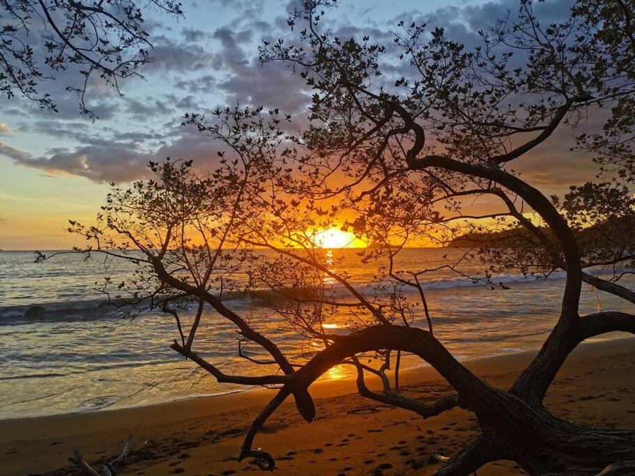Playa Tamarindo, CasaMar de Tamarindo
