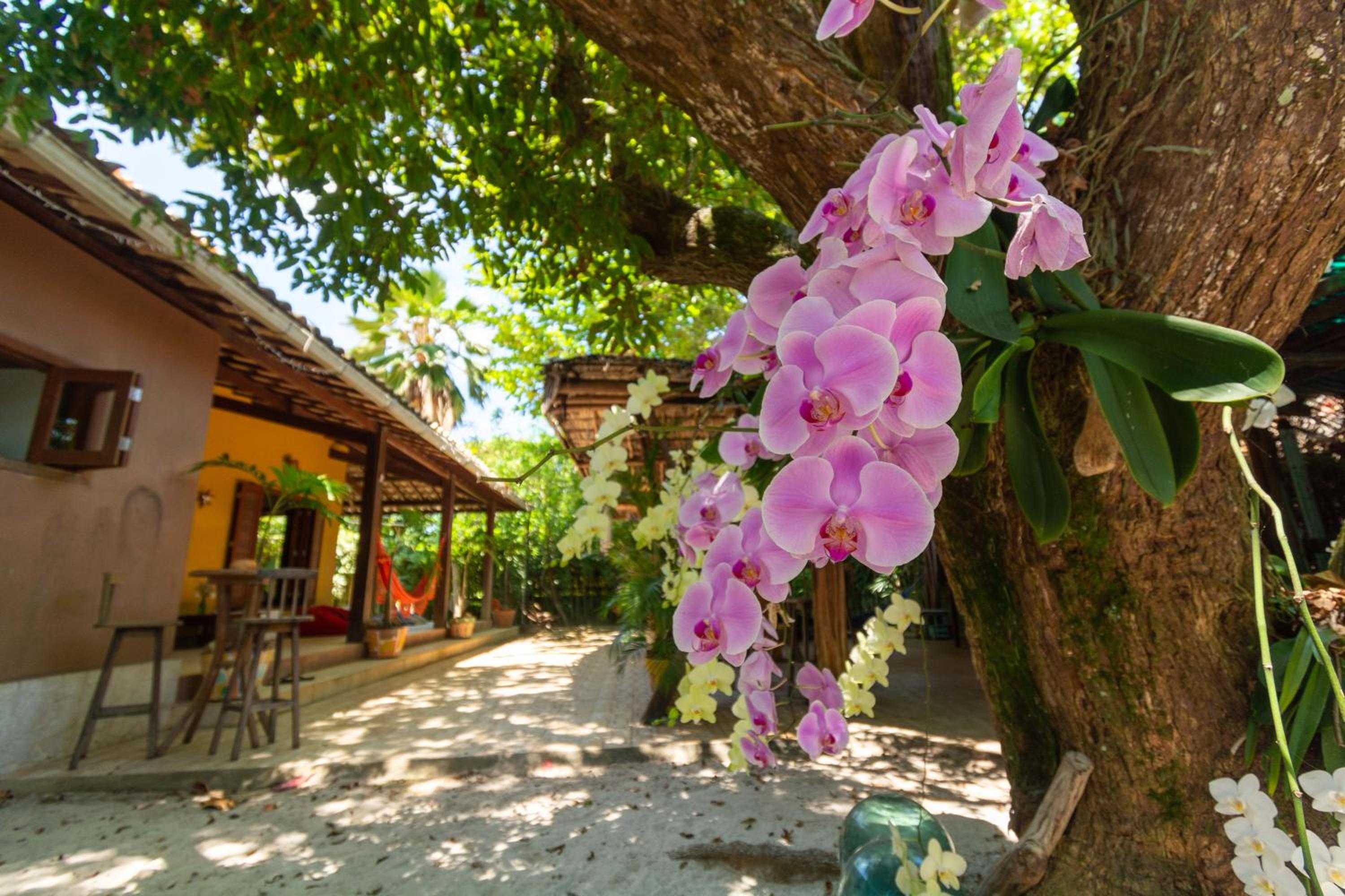 Casa Raízes Imbassai