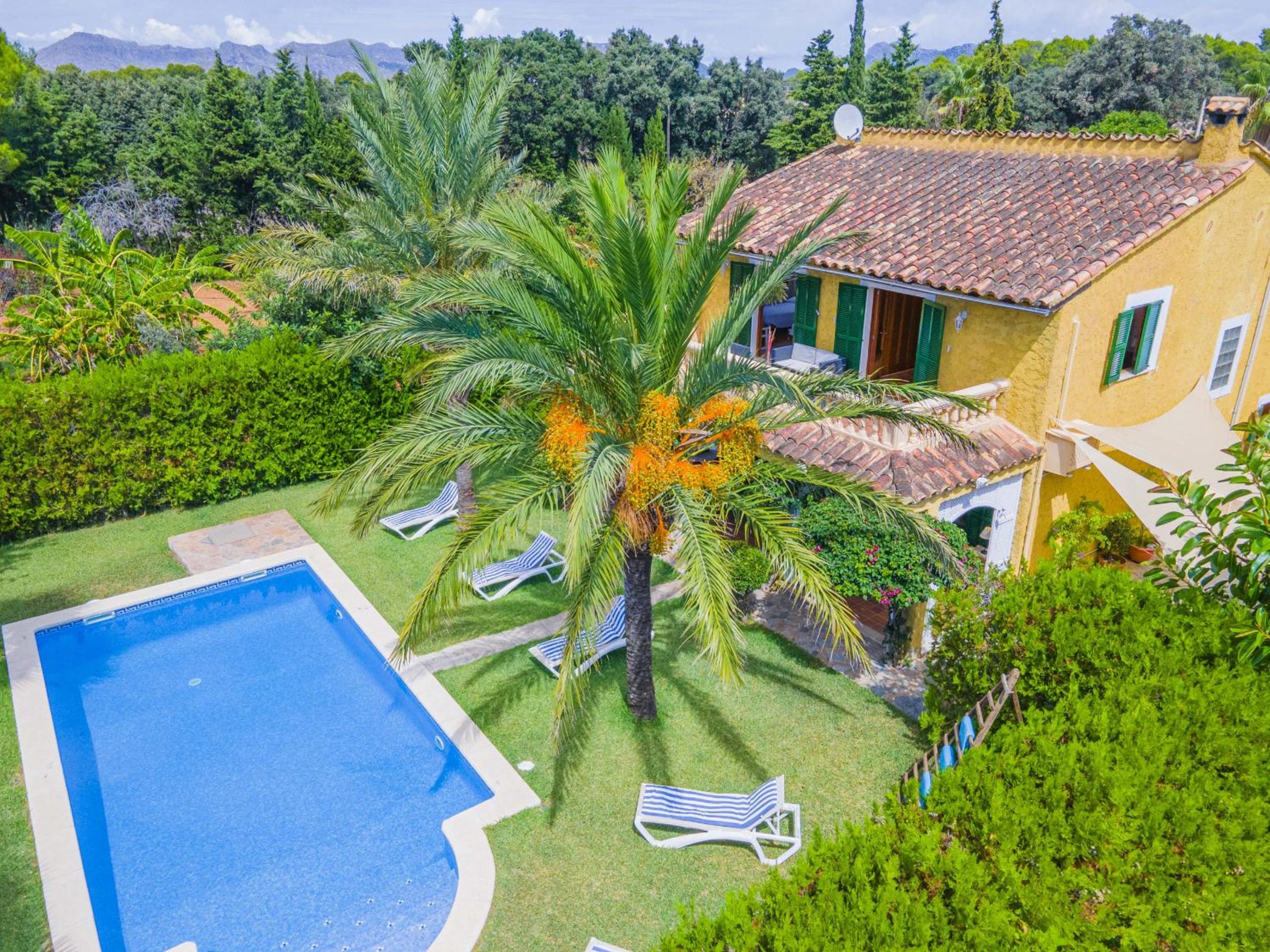 Villa Olivers Vera view 4