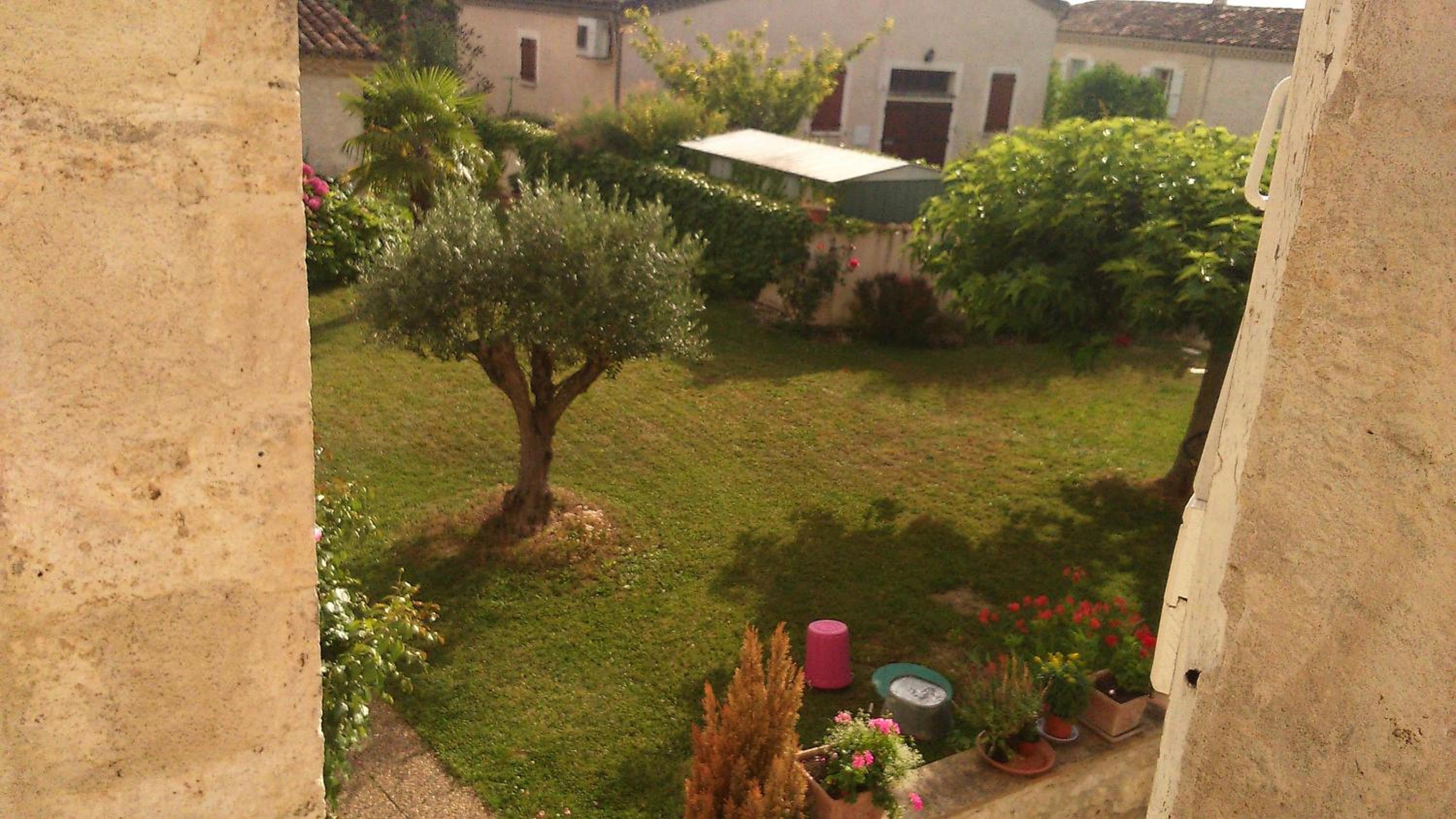 Photo 25