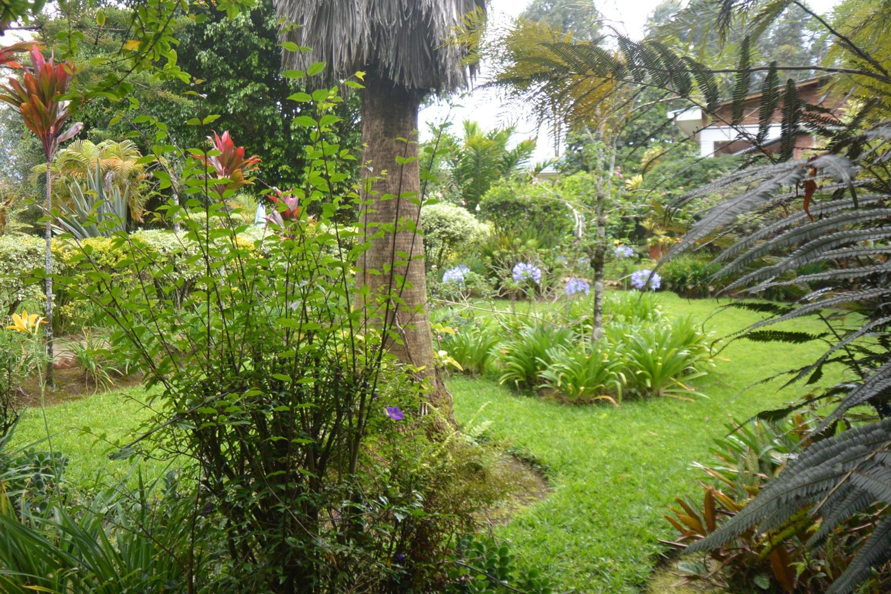 Photo 22