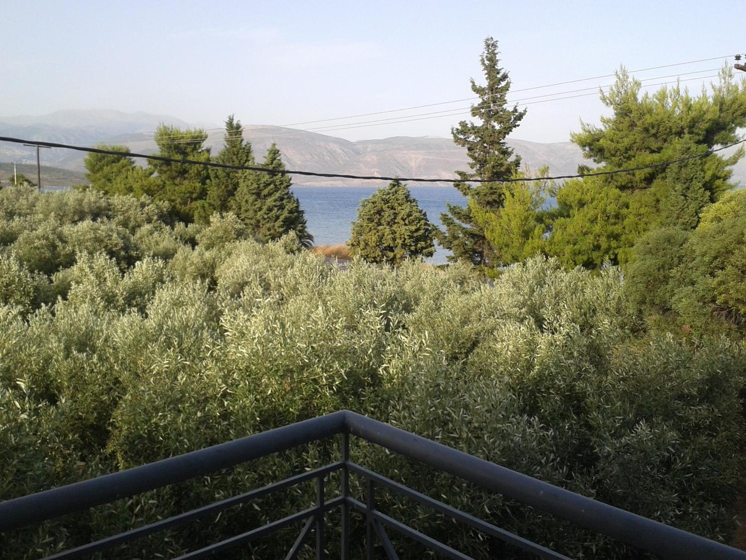 Photo 45
