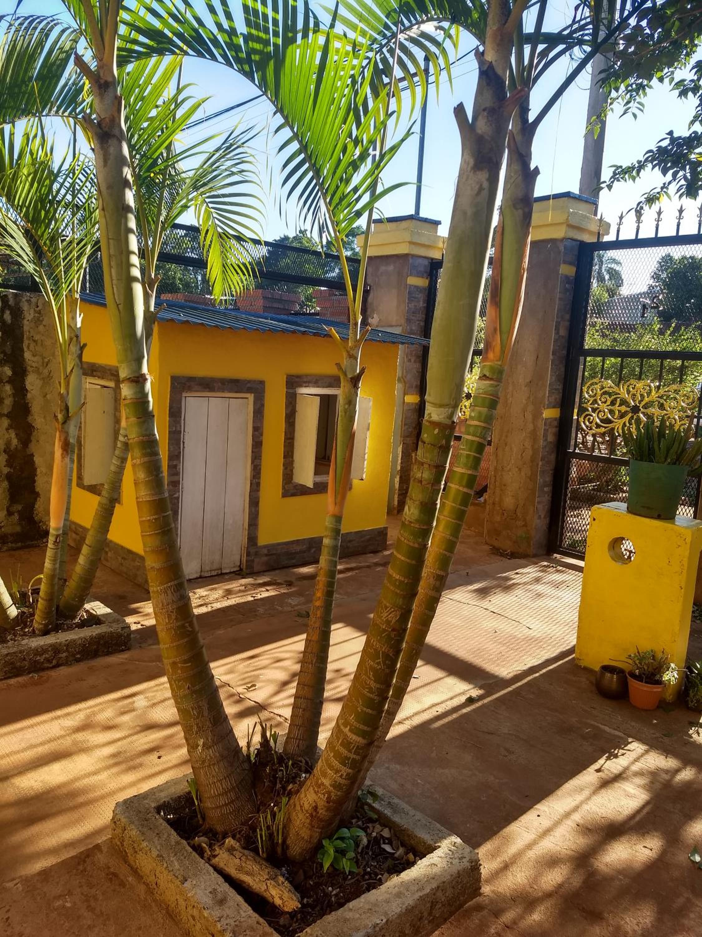 Betel tu casa de refugio 1