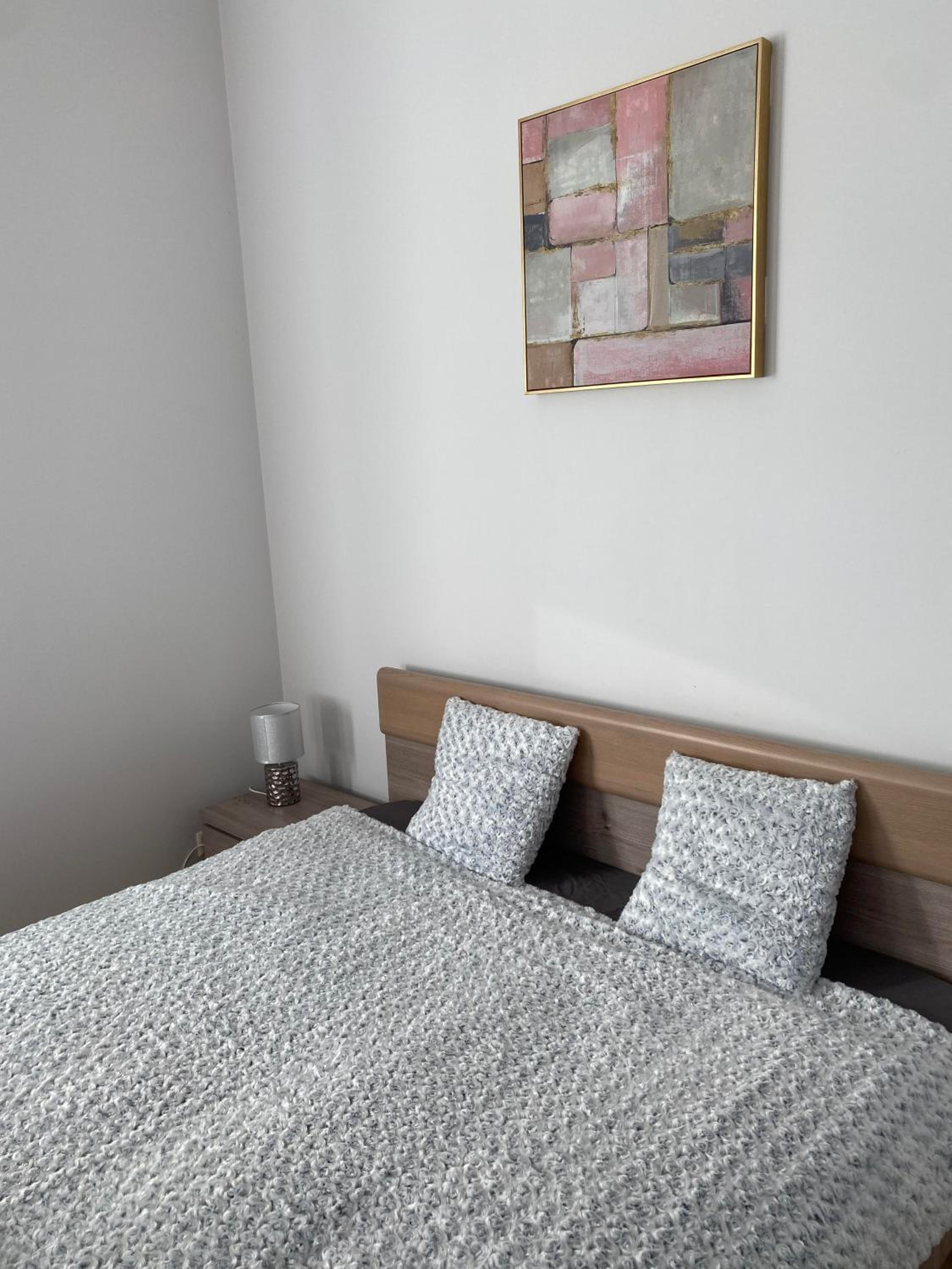 Kaunas Castle Apartments - One bedroom flat view 3