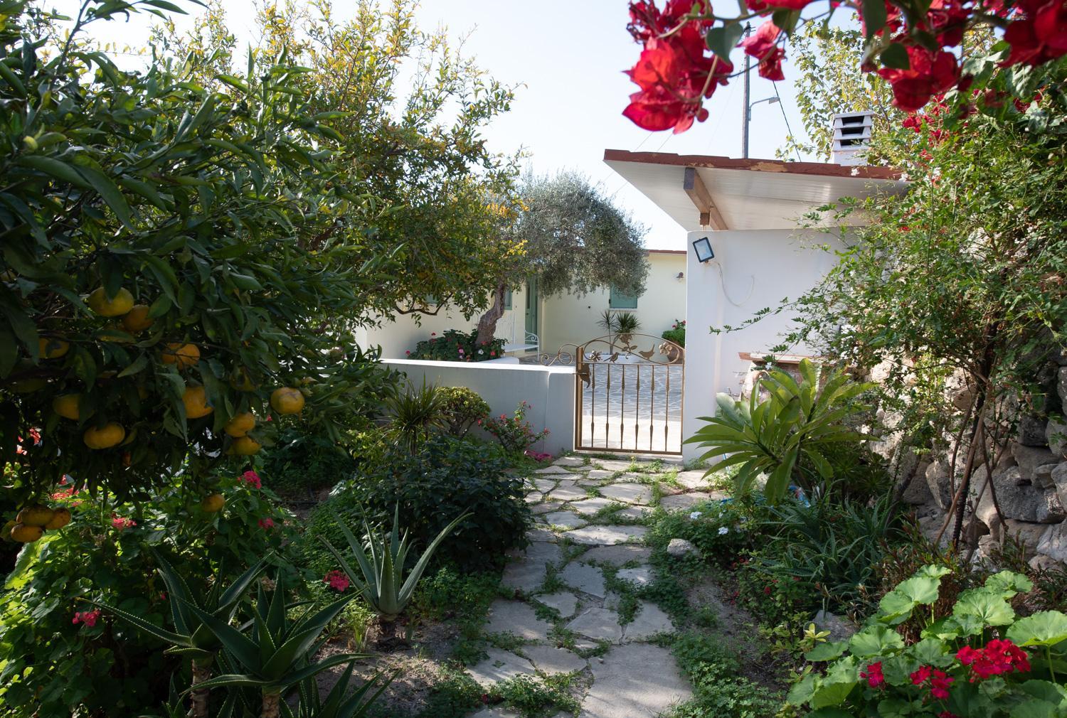 Arhondia House photo 4