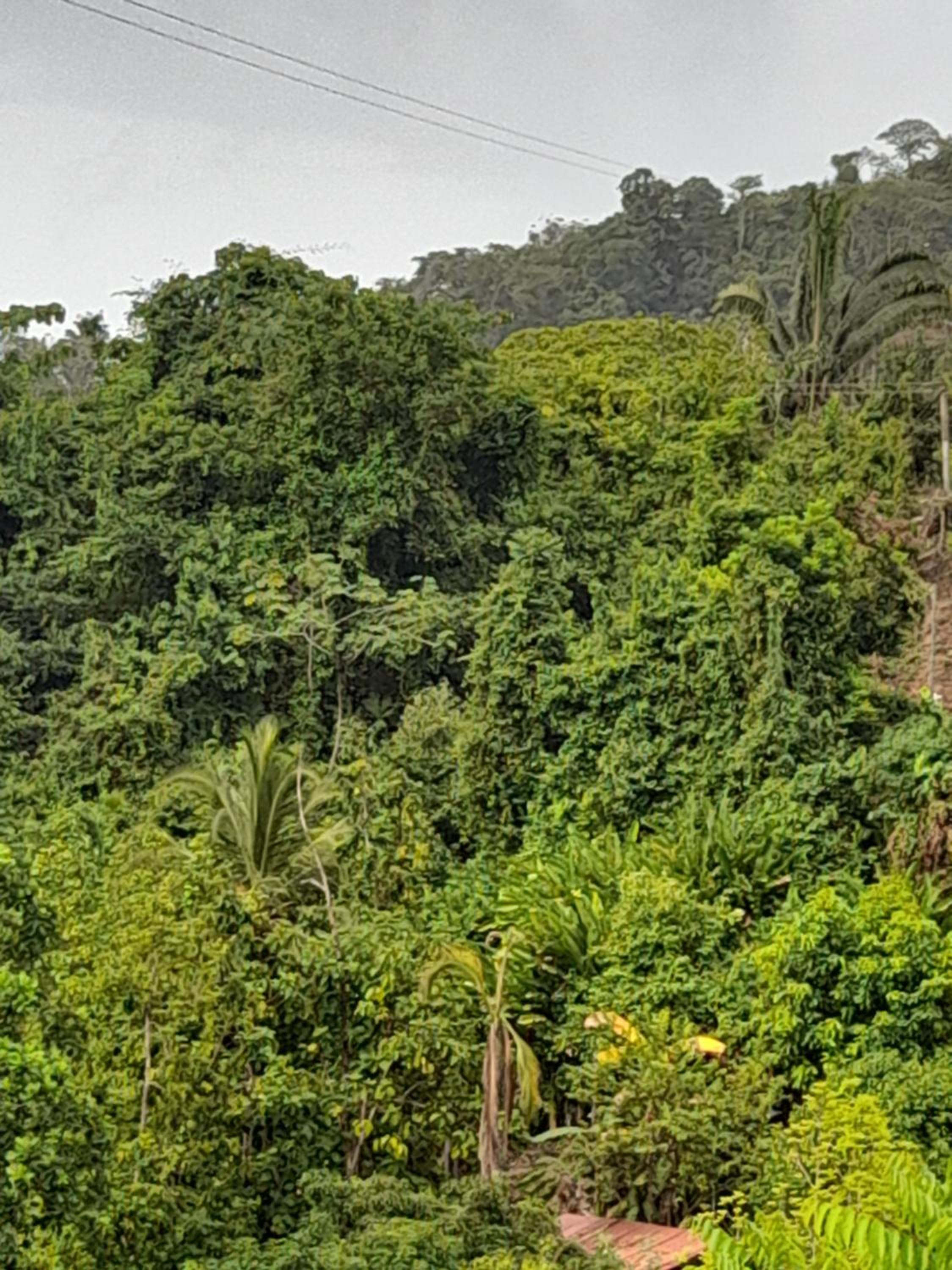 EcoHostal Tierra Prometida
