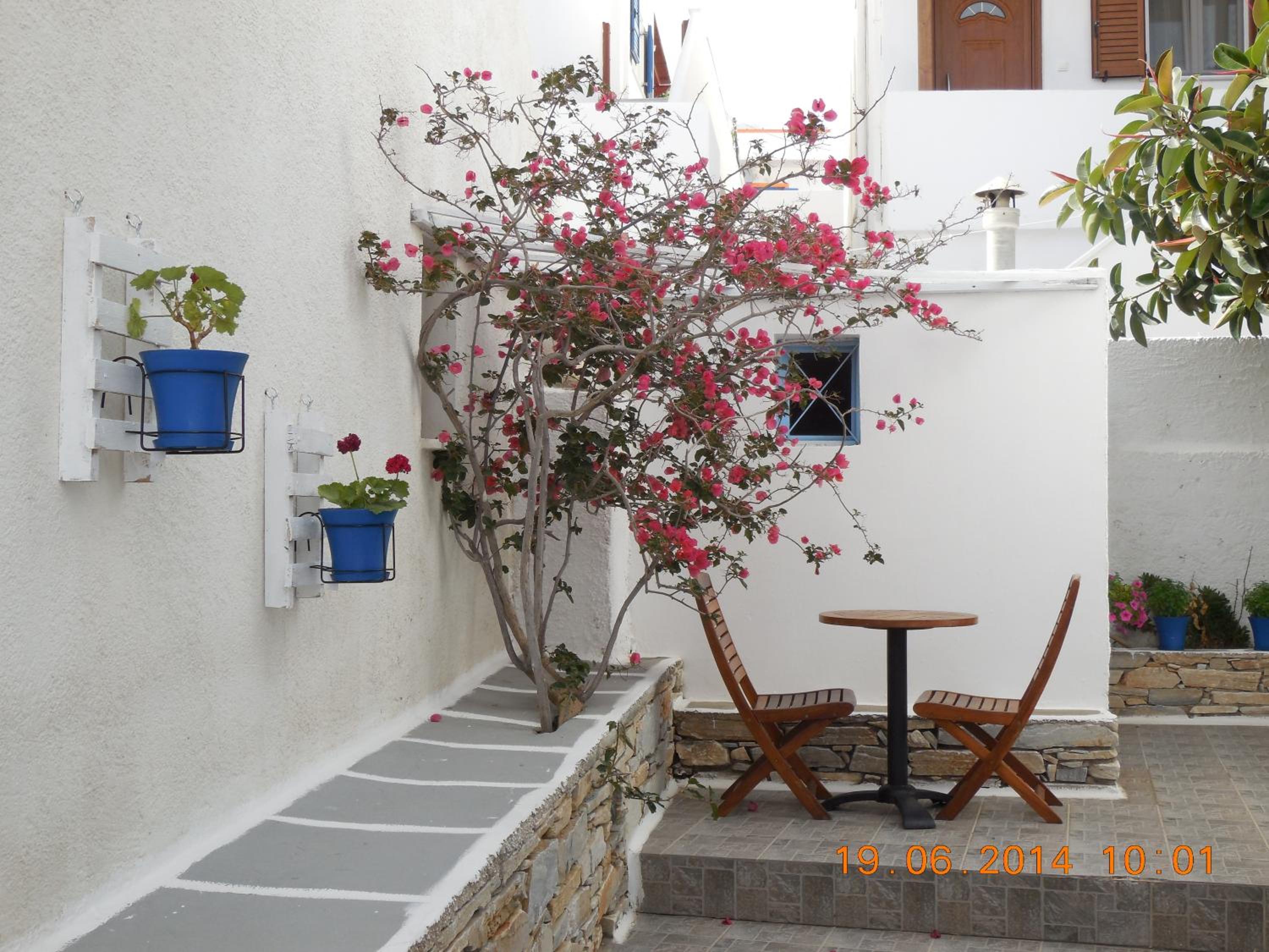 Photo 23