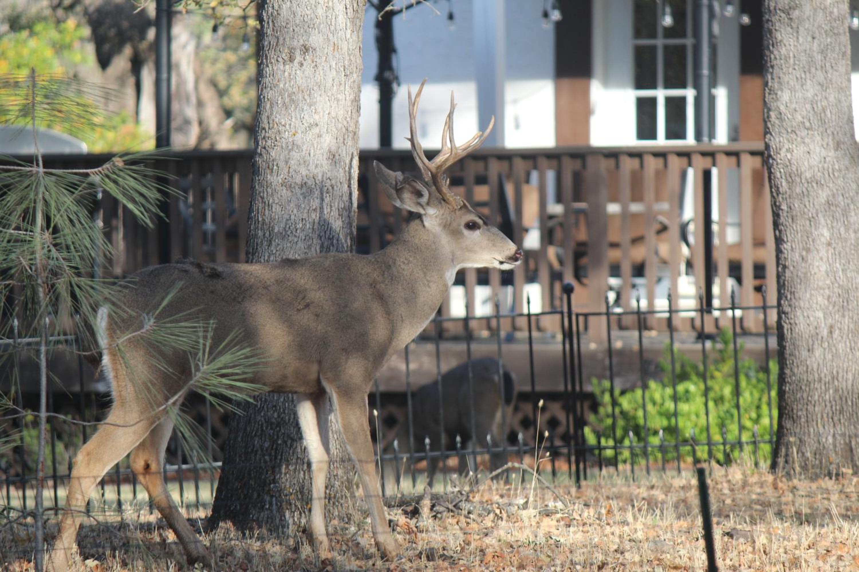 Redding Vacations - Hope Inn Redding - Property Image 19