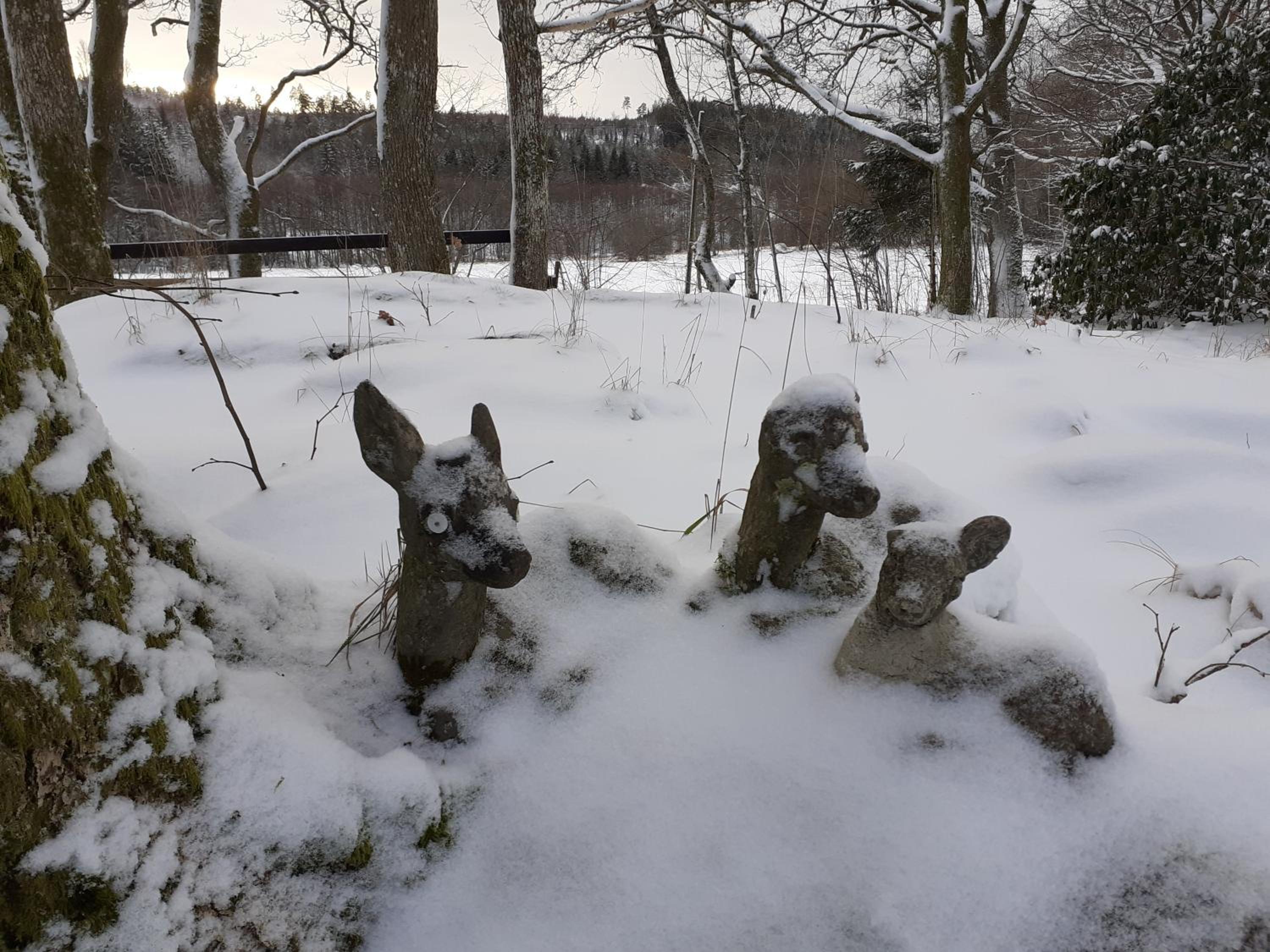 Villa Ekegården view 5