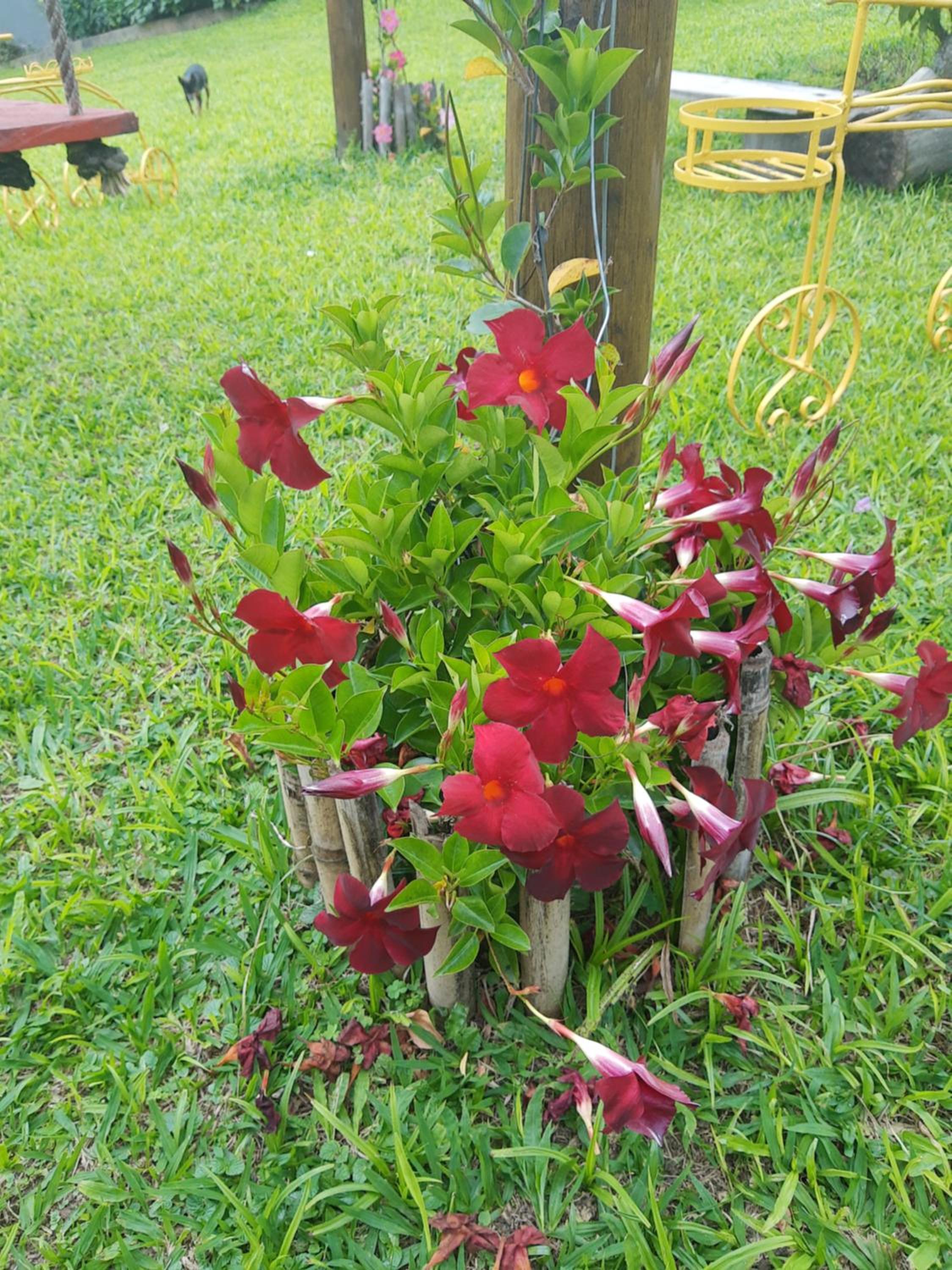 Photo 22
